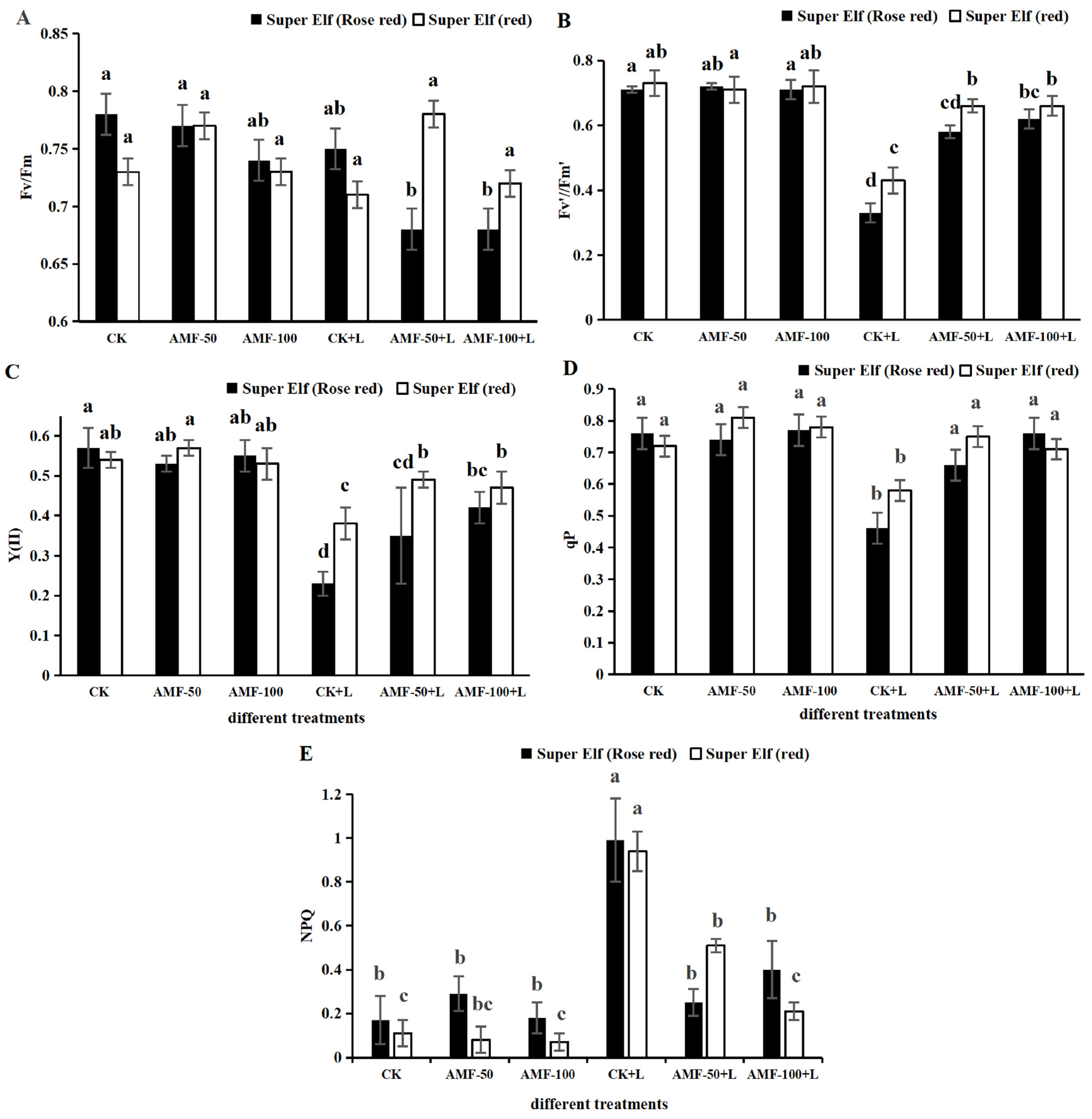 Horticulturae 10 00856 g002