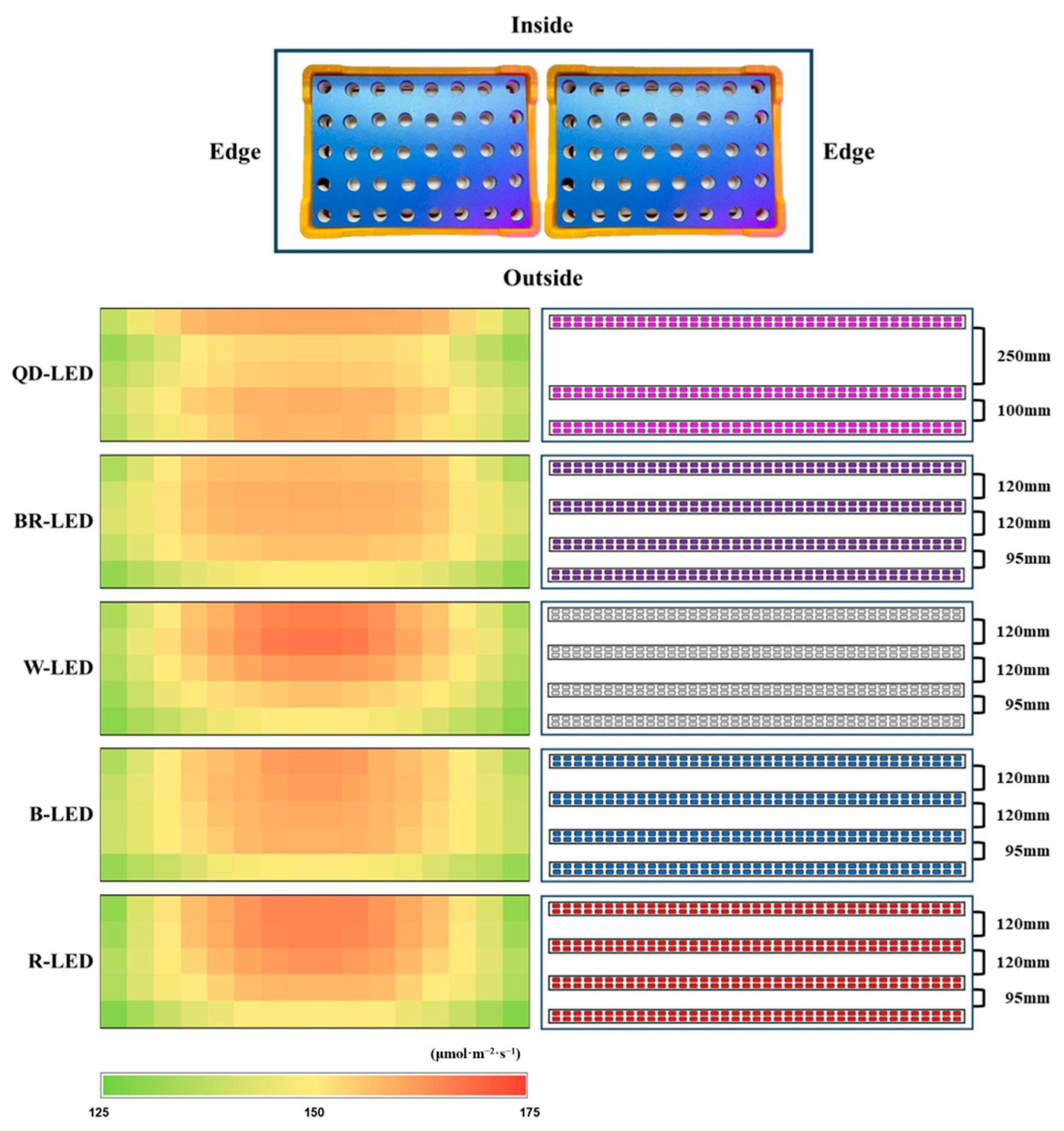 Horticulturae 10 00860 g003