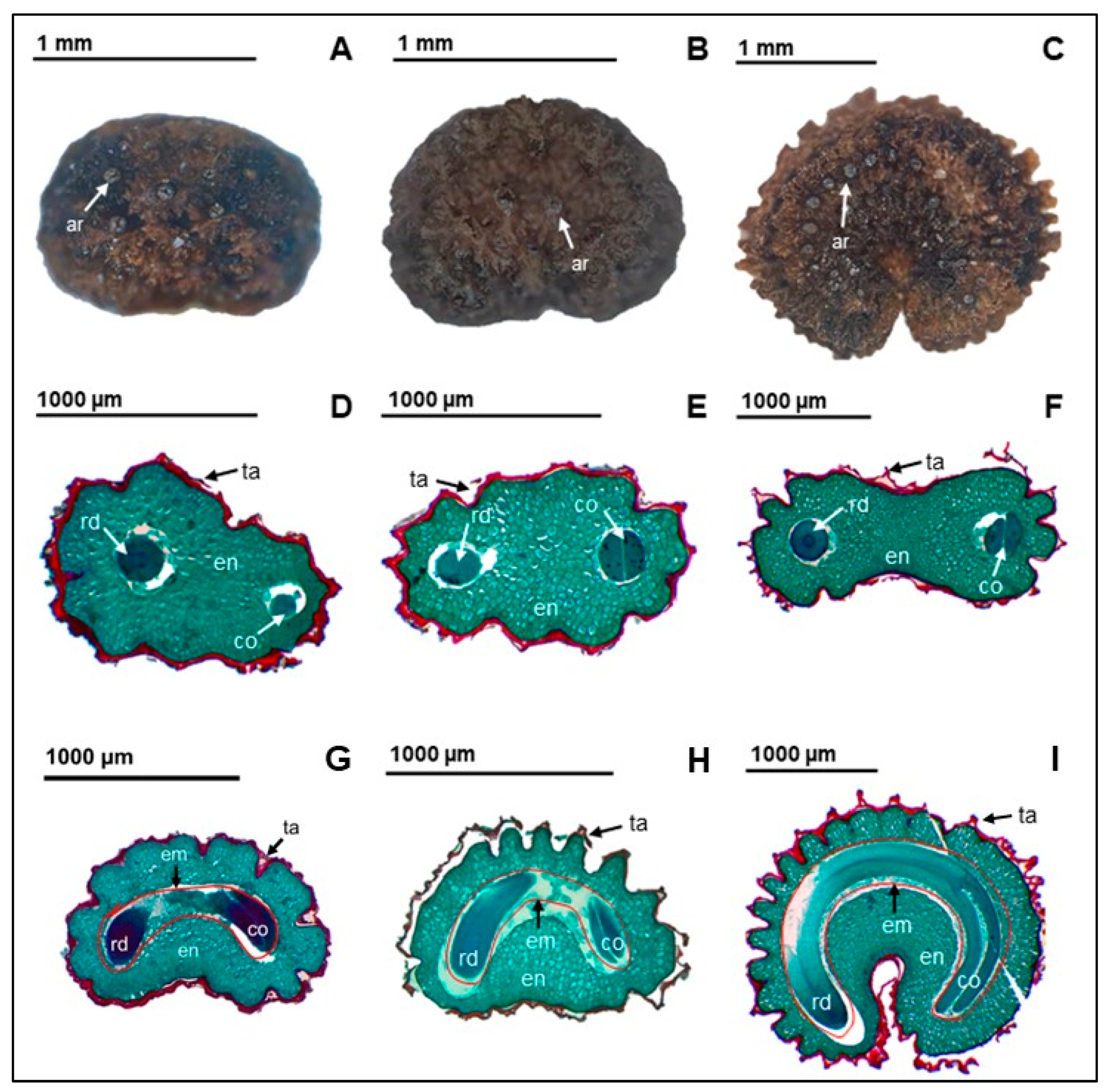 Horticulturae 10 00867 g002 Horticulturae 10 00867 g002