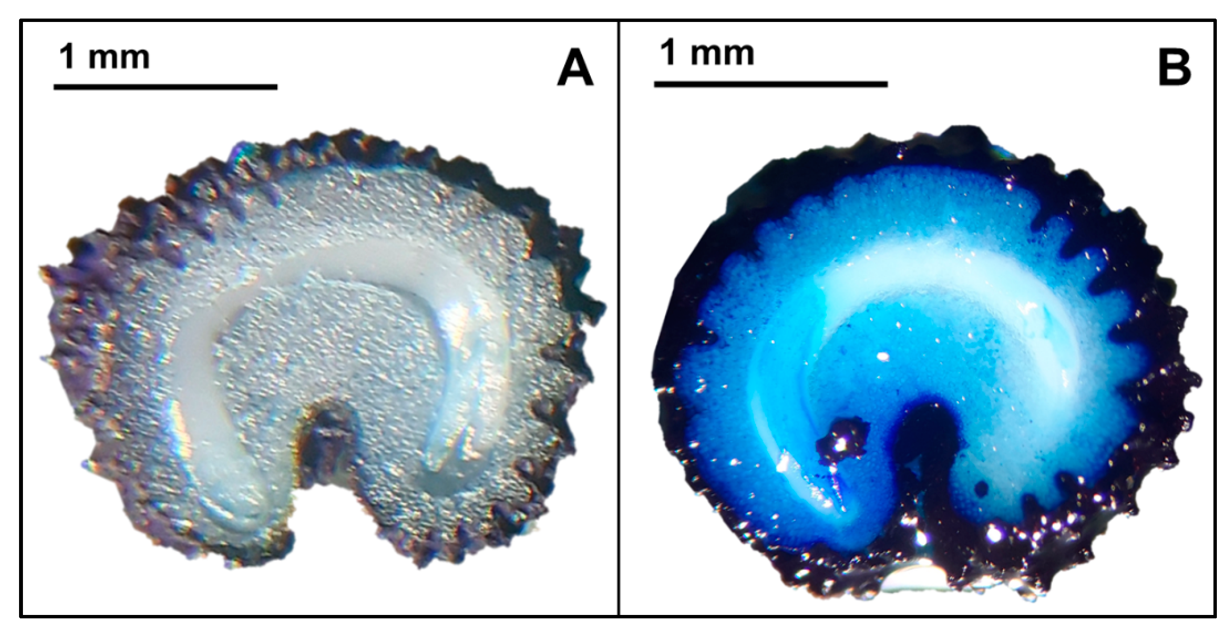 Horticulturae 10 00867 g003 Horticulturae 10 00867 g003