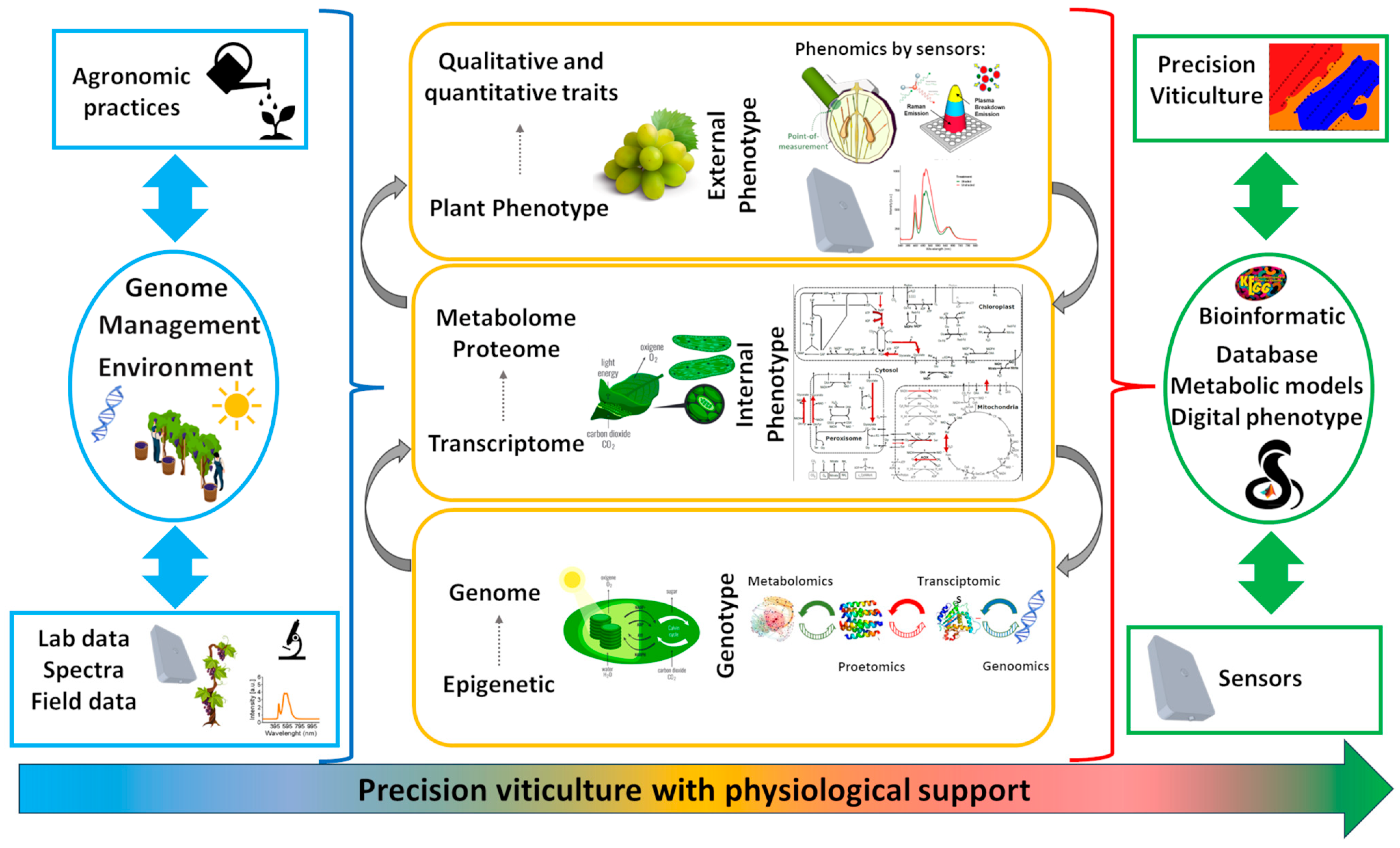 Horticulturae 10 00873 g001