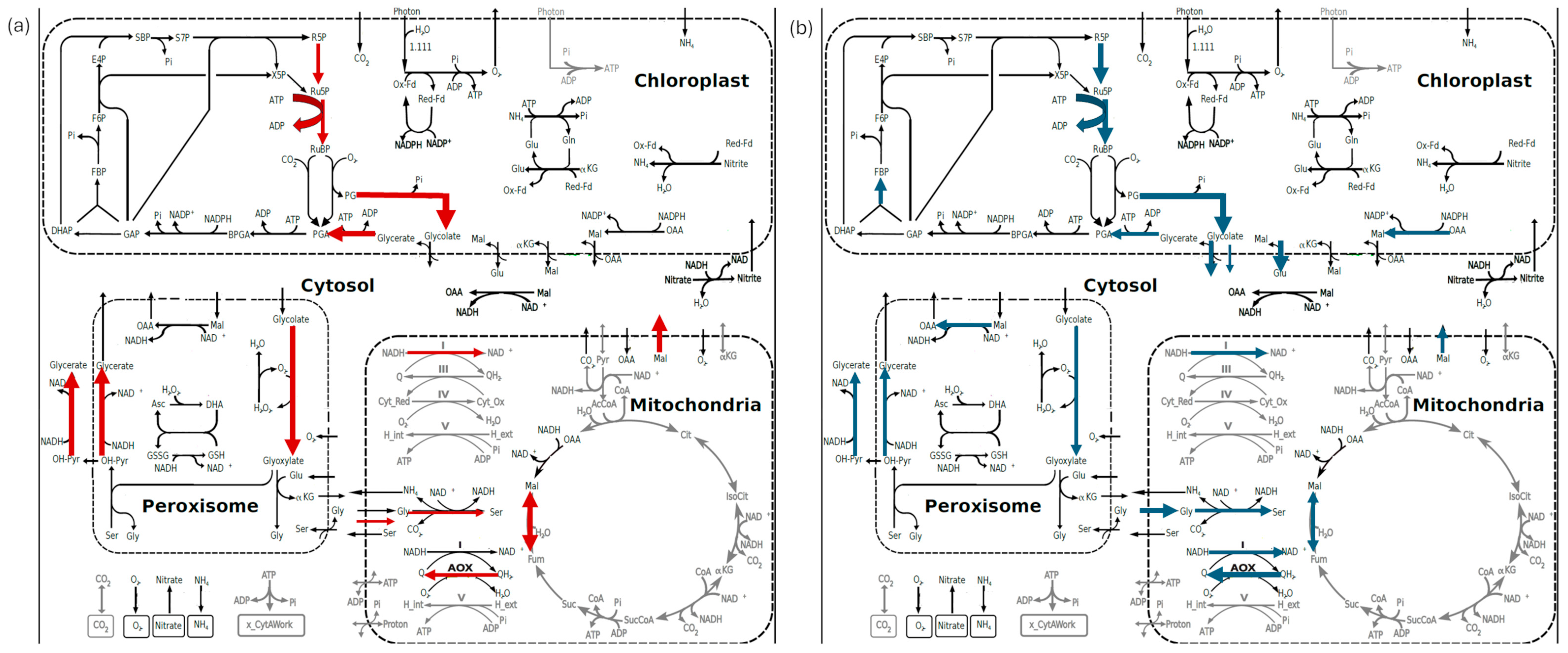 Horticulturae 10 00873 g005