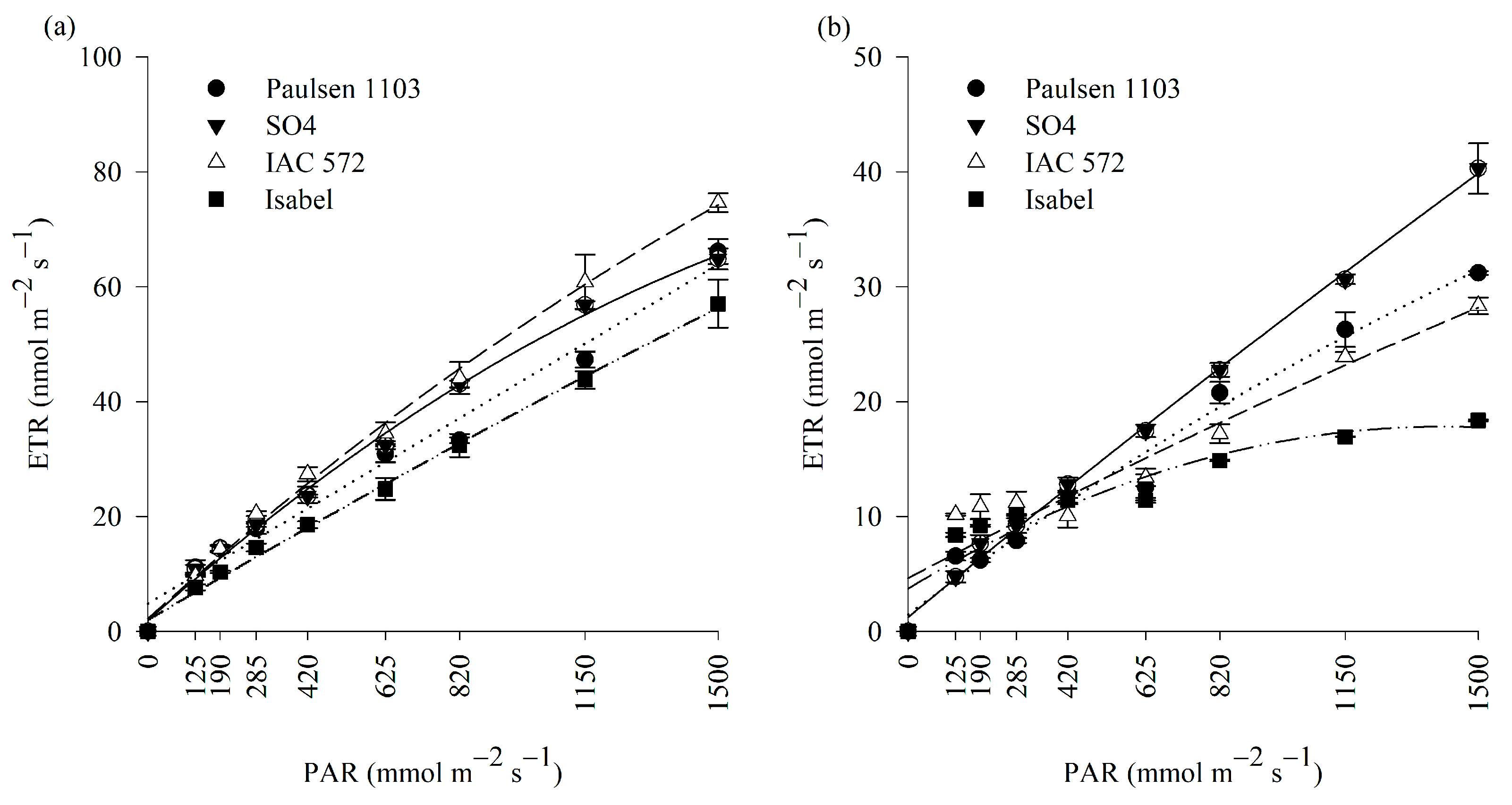 Horticulturae 10 00883 g004 Horticulturae 10 00883 g004