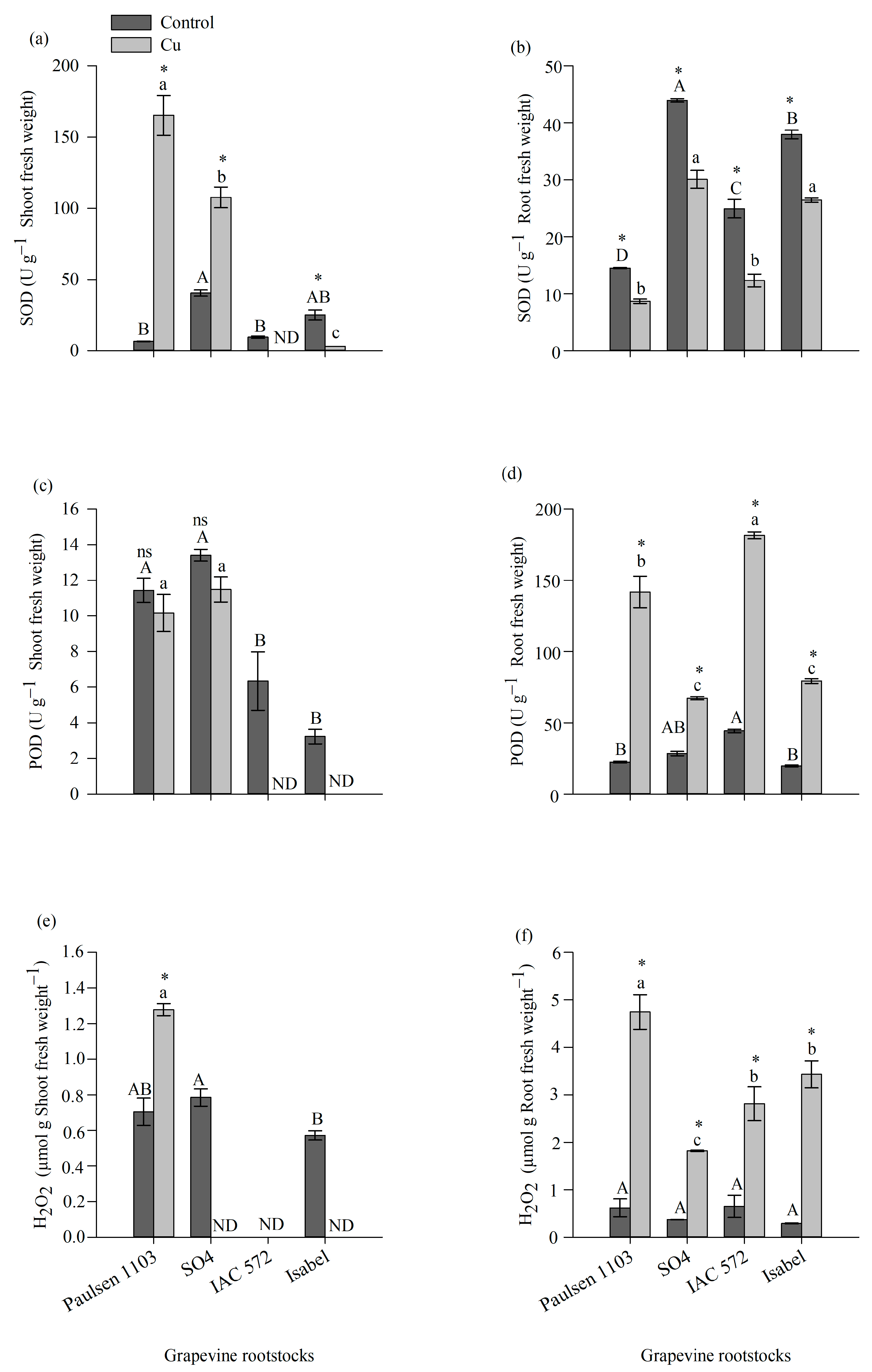 Horticulturae 10 00883 g005 Horticulturae 10 00883 g005