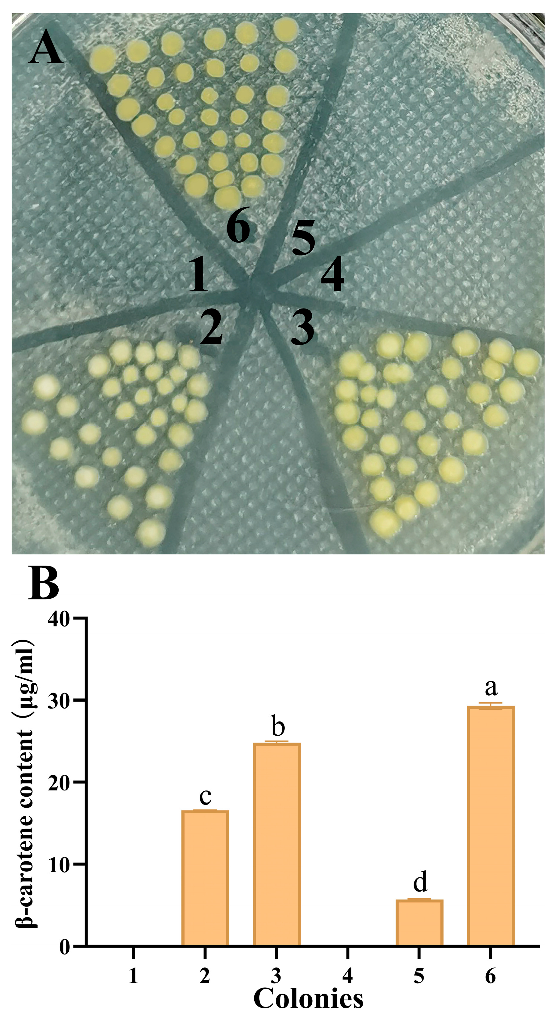 Horticulturae 10 00887 g002