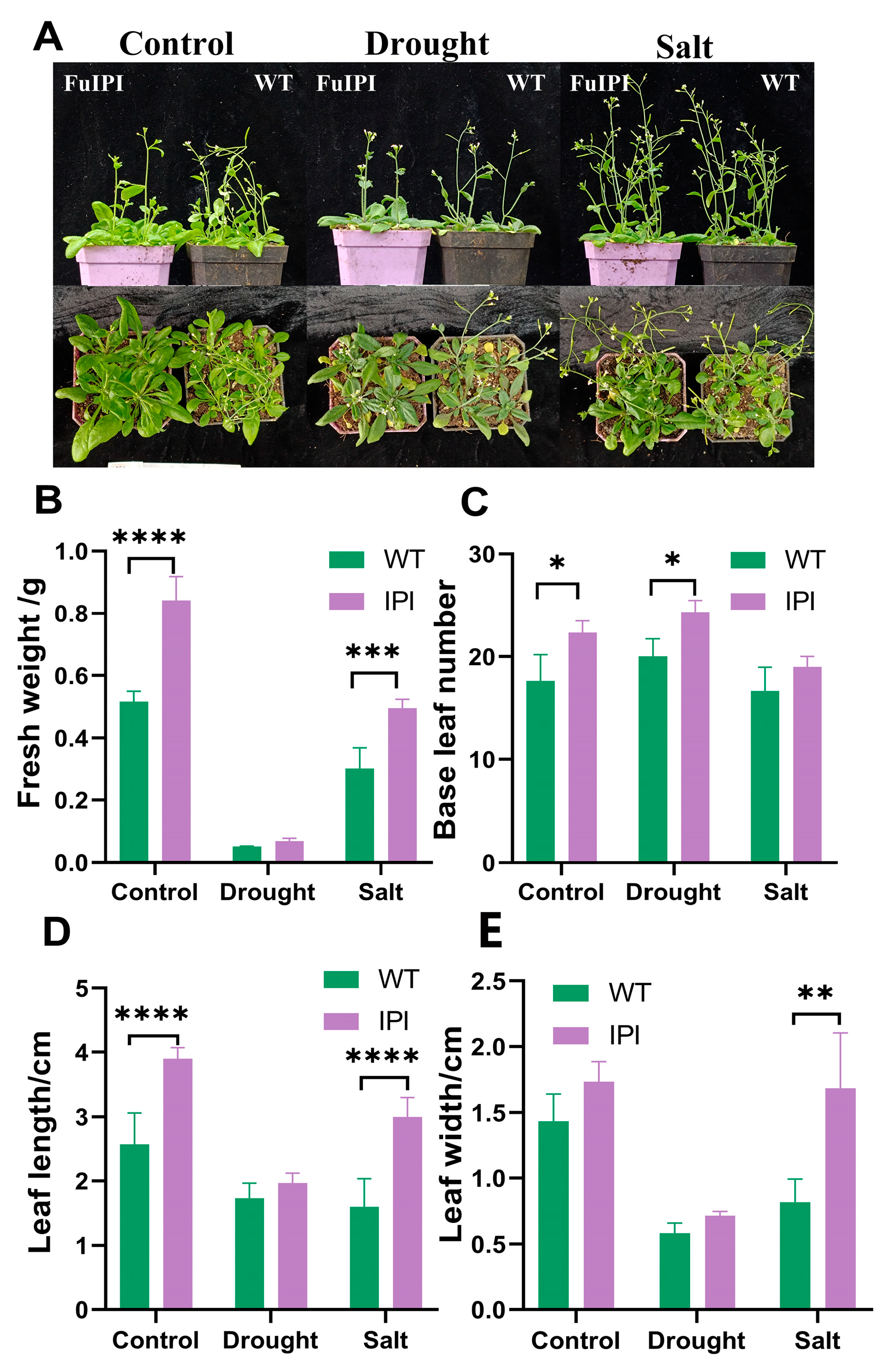 Horticulturae 10 00887 g005