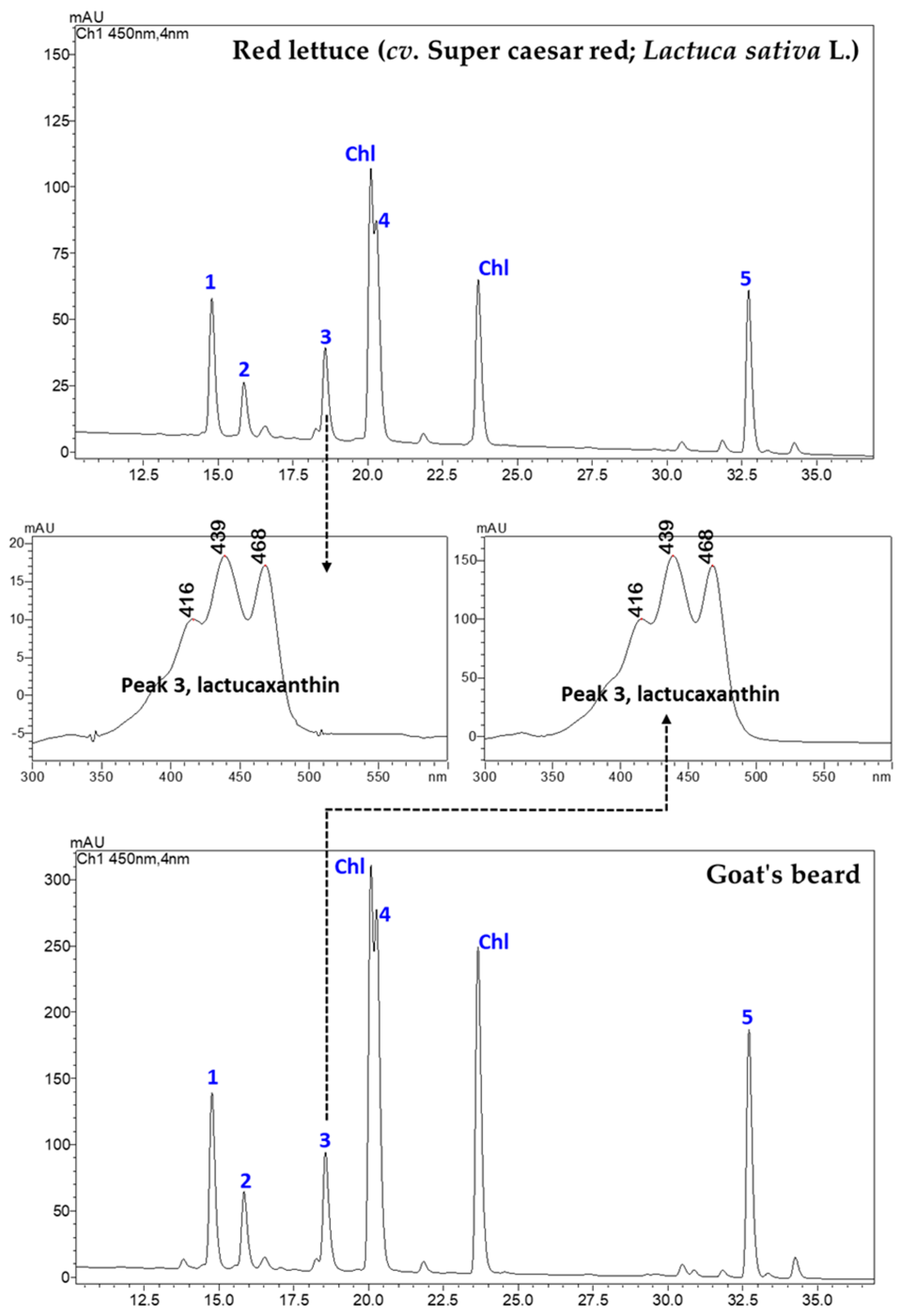 Horticulturae 10 00891 g001 Horticulturae 10 00891 g001