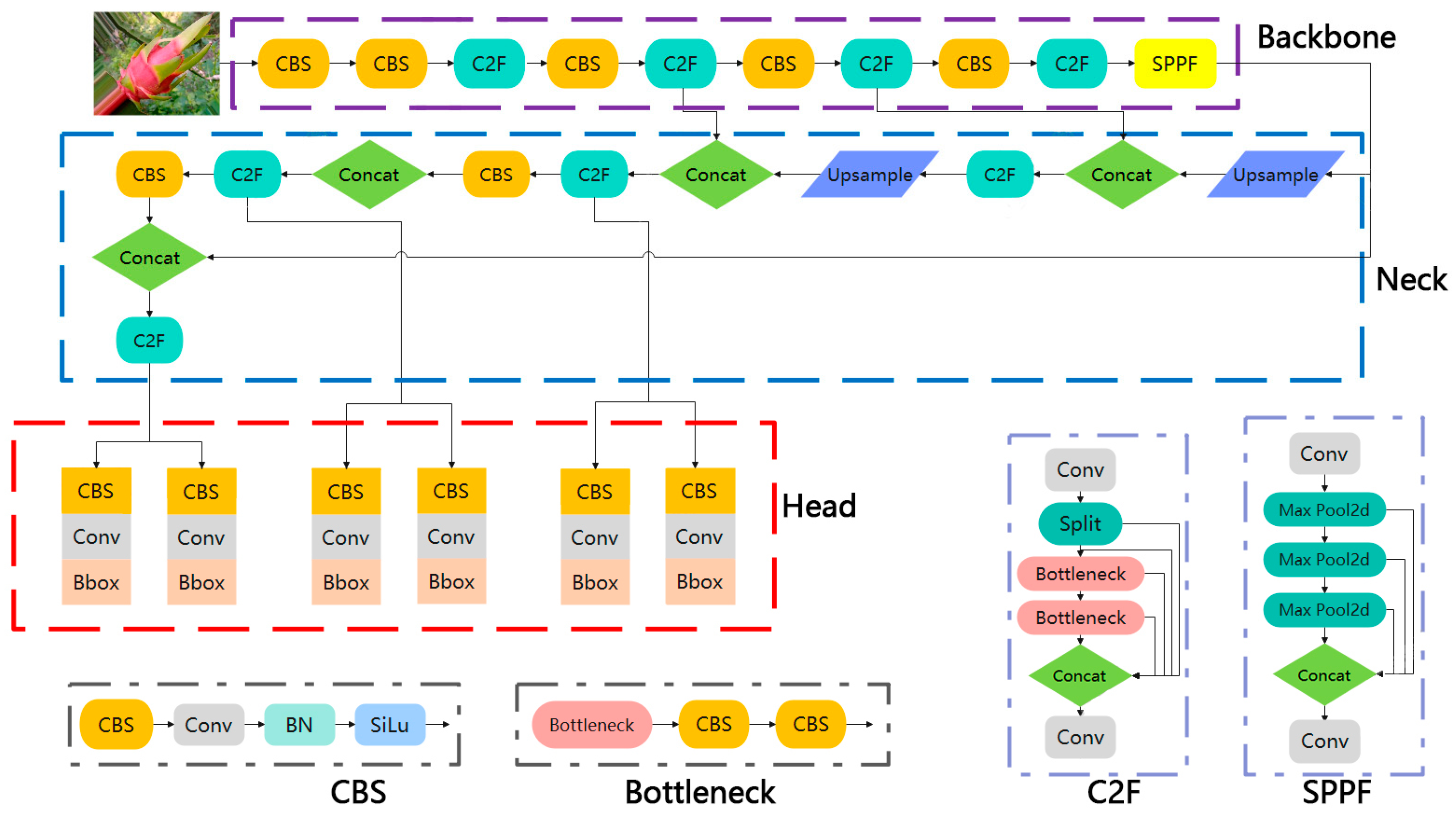 Horticulturae 10 00899 g003