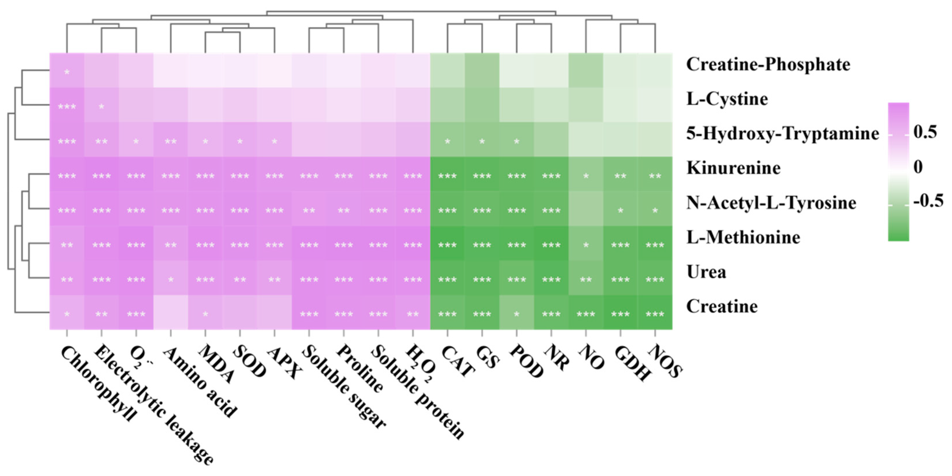 Horticulturae 10 00906 g011