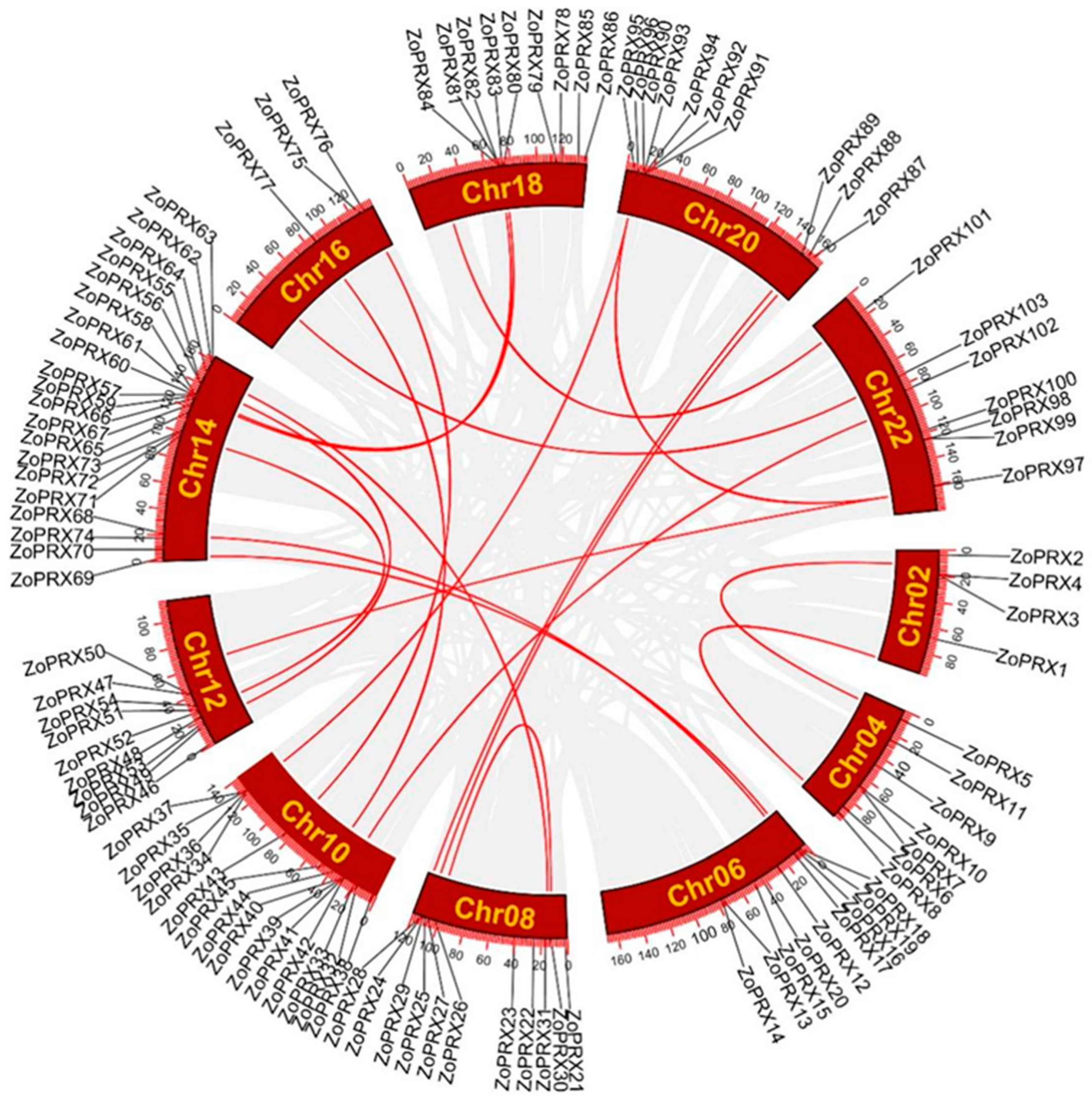 Horticulturae 10 00911 g006