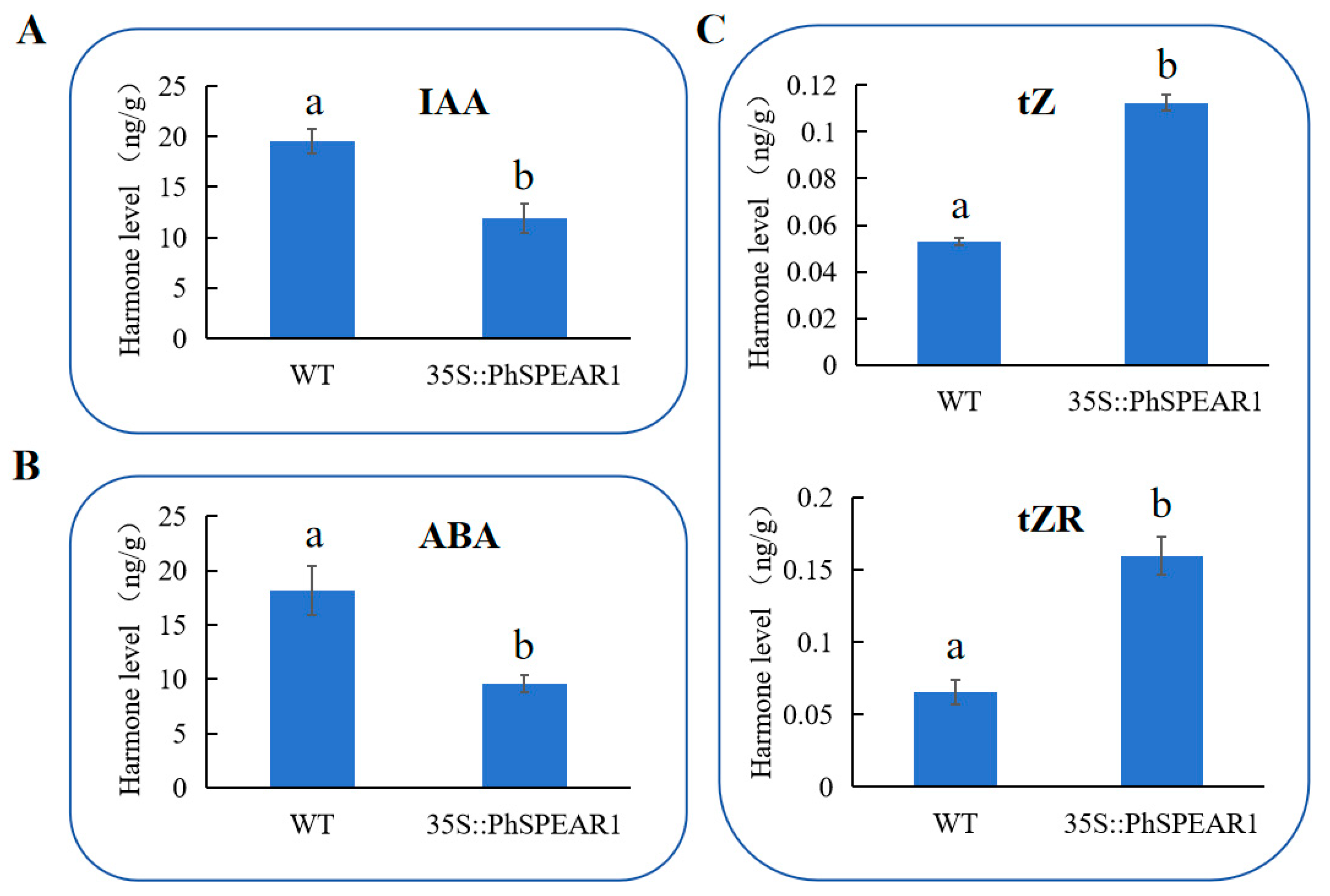 Horticulturae 10 00912 g006