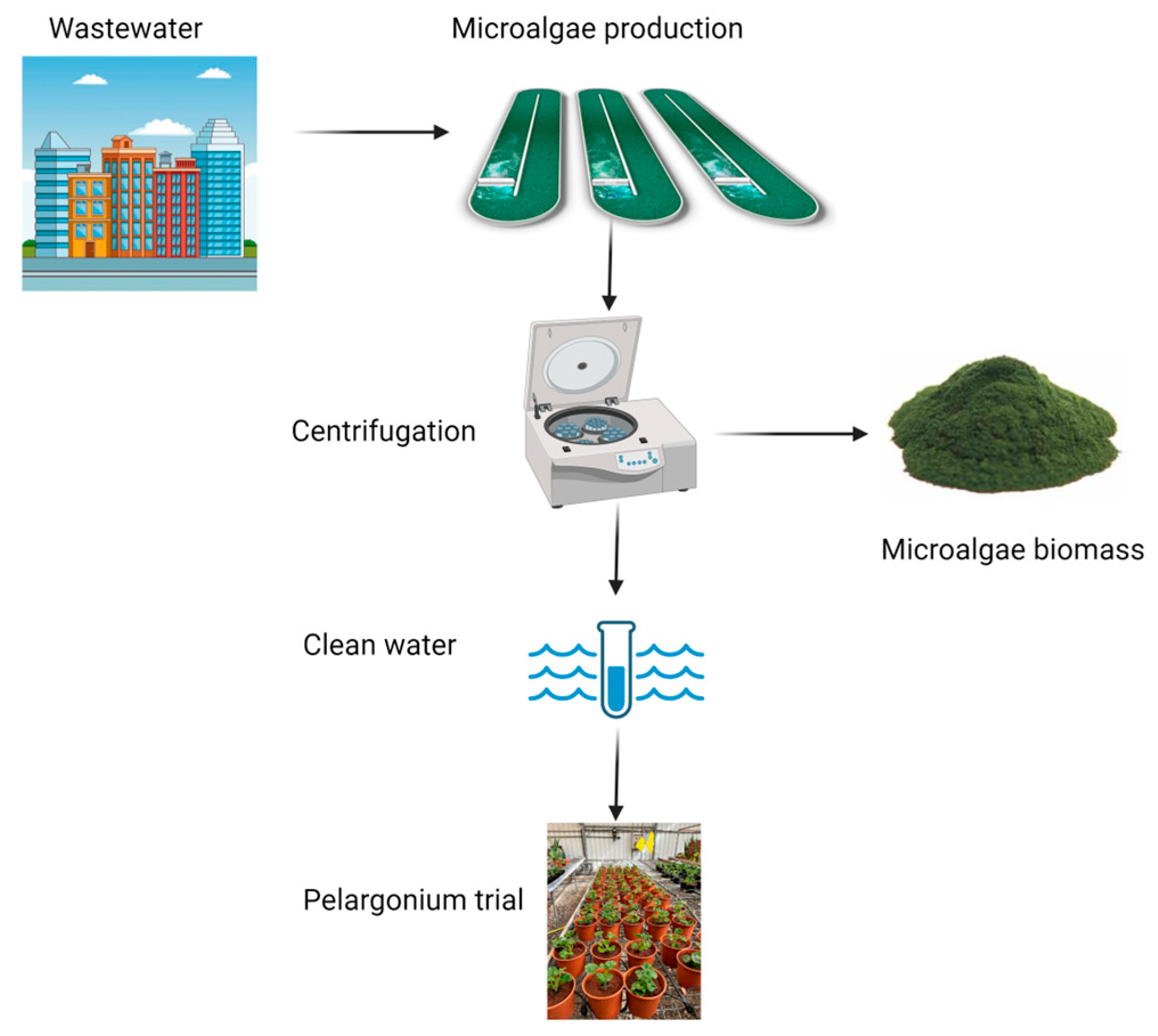 Horticulturae 10 00921 g001