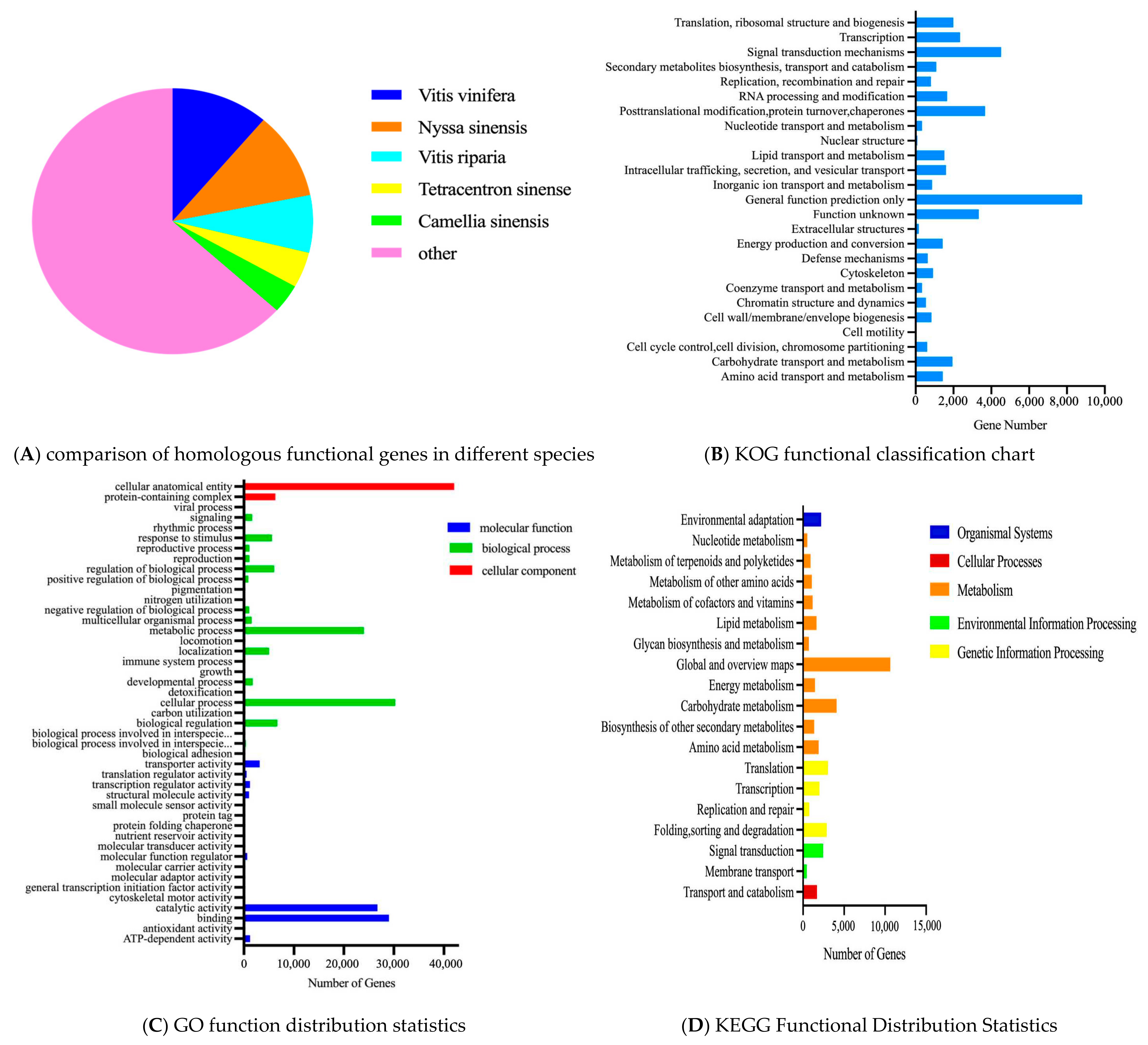 Horticulturae 10 00928 g003