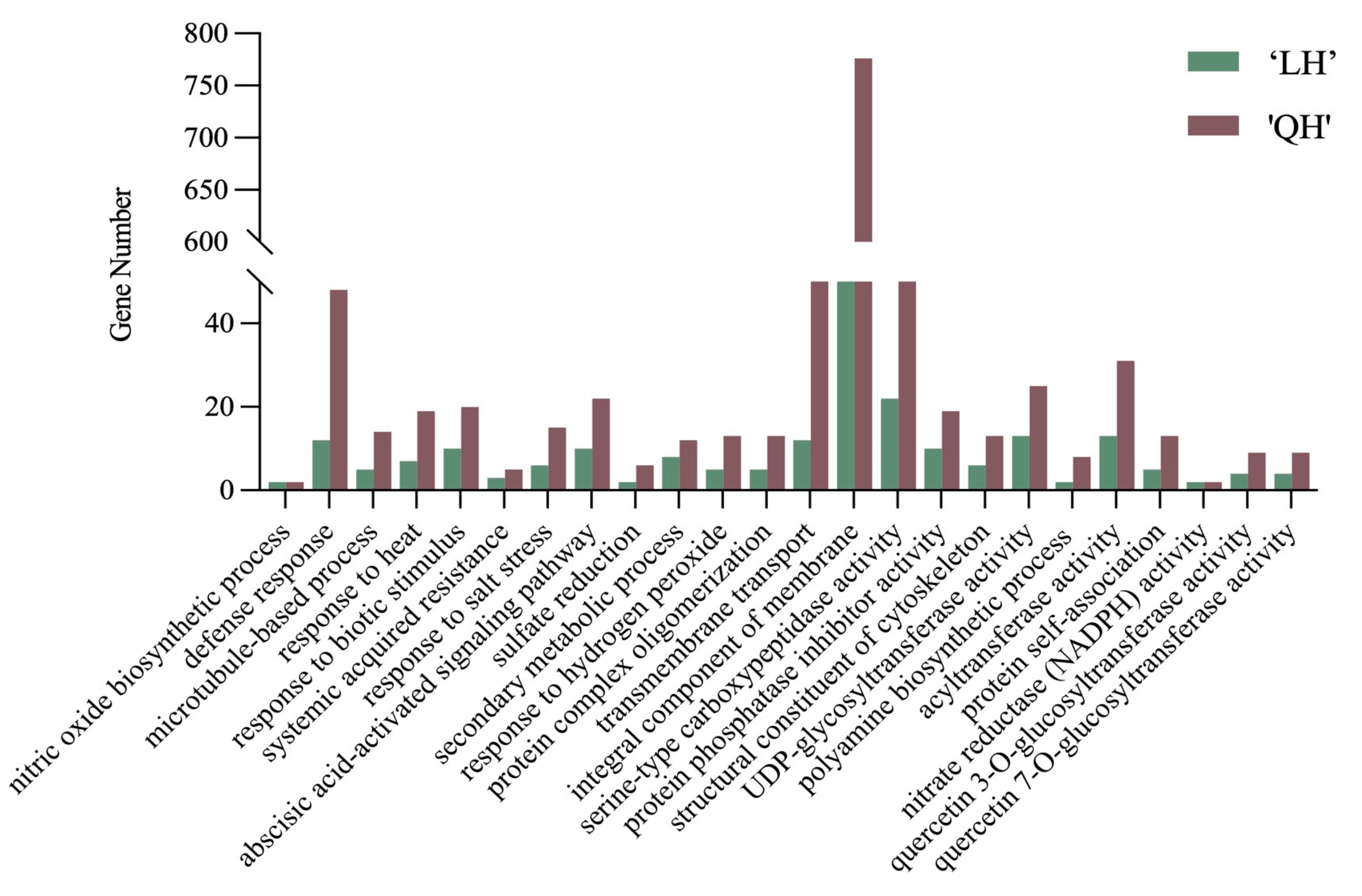Horticulturae 10 00928 g005
