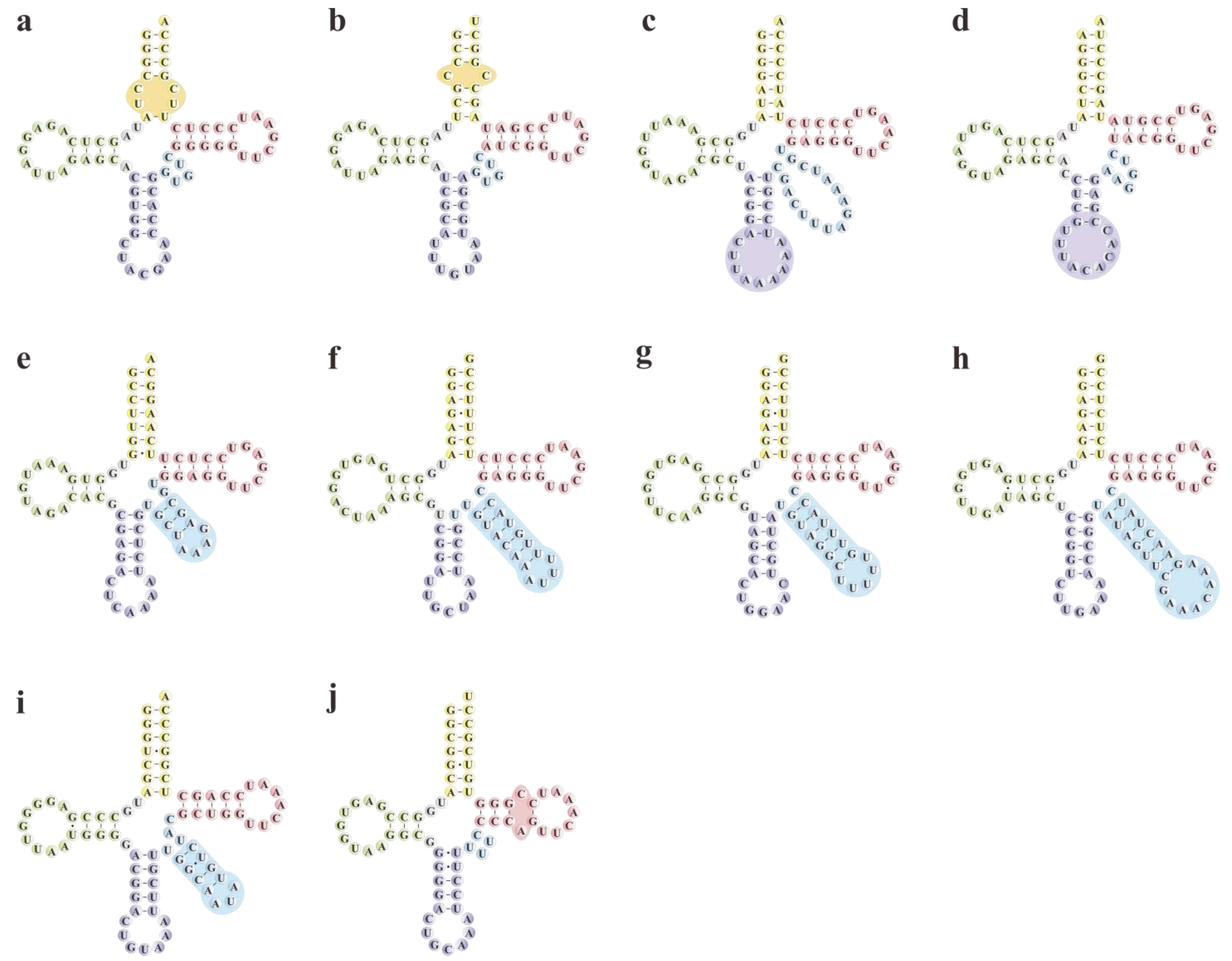 Horticulturae 10 00932 g005 Horticulturae 10 00932 g005