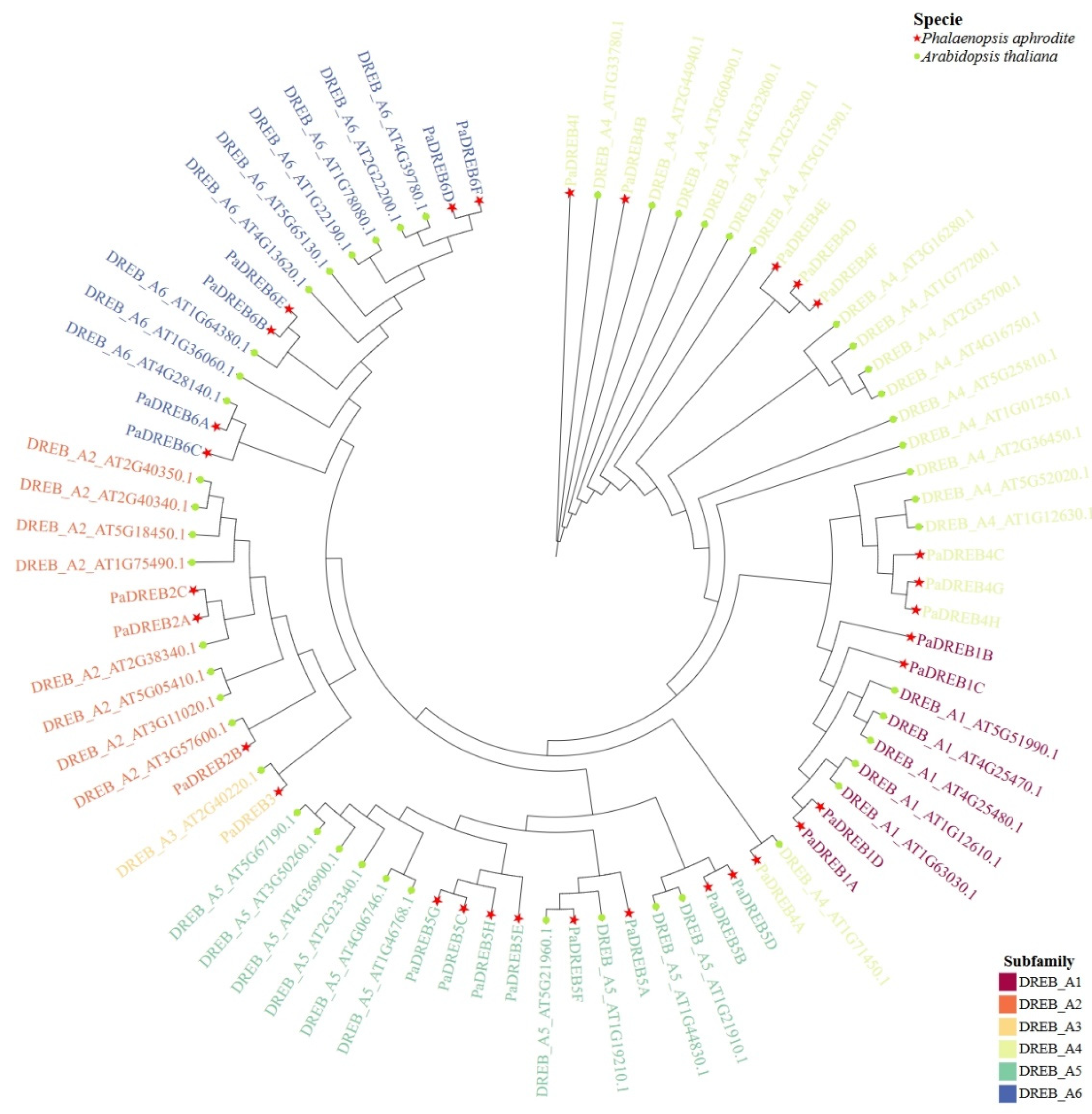 Horticulturae 10 00933 g001