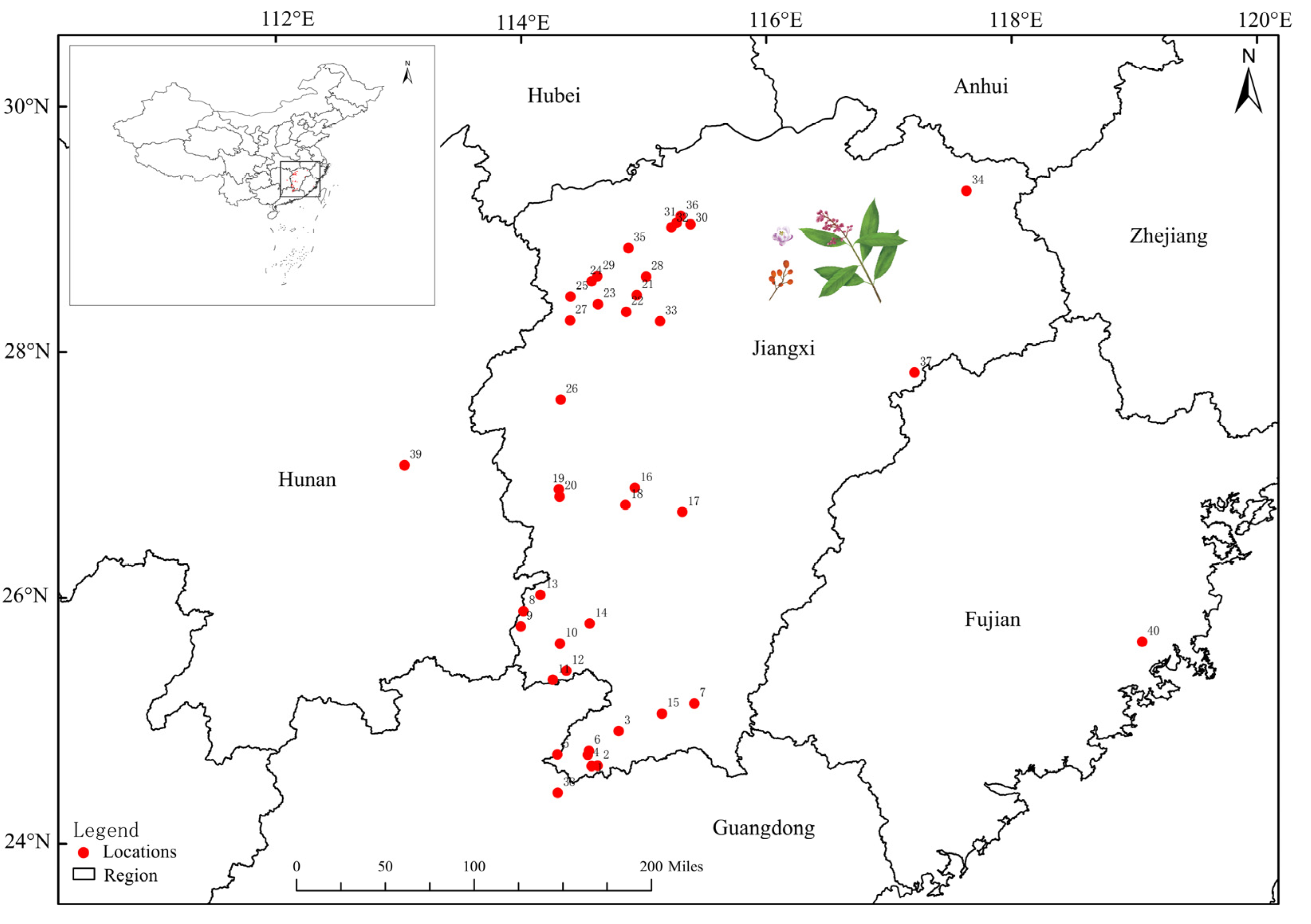 Horticulturae 10 00935 g001