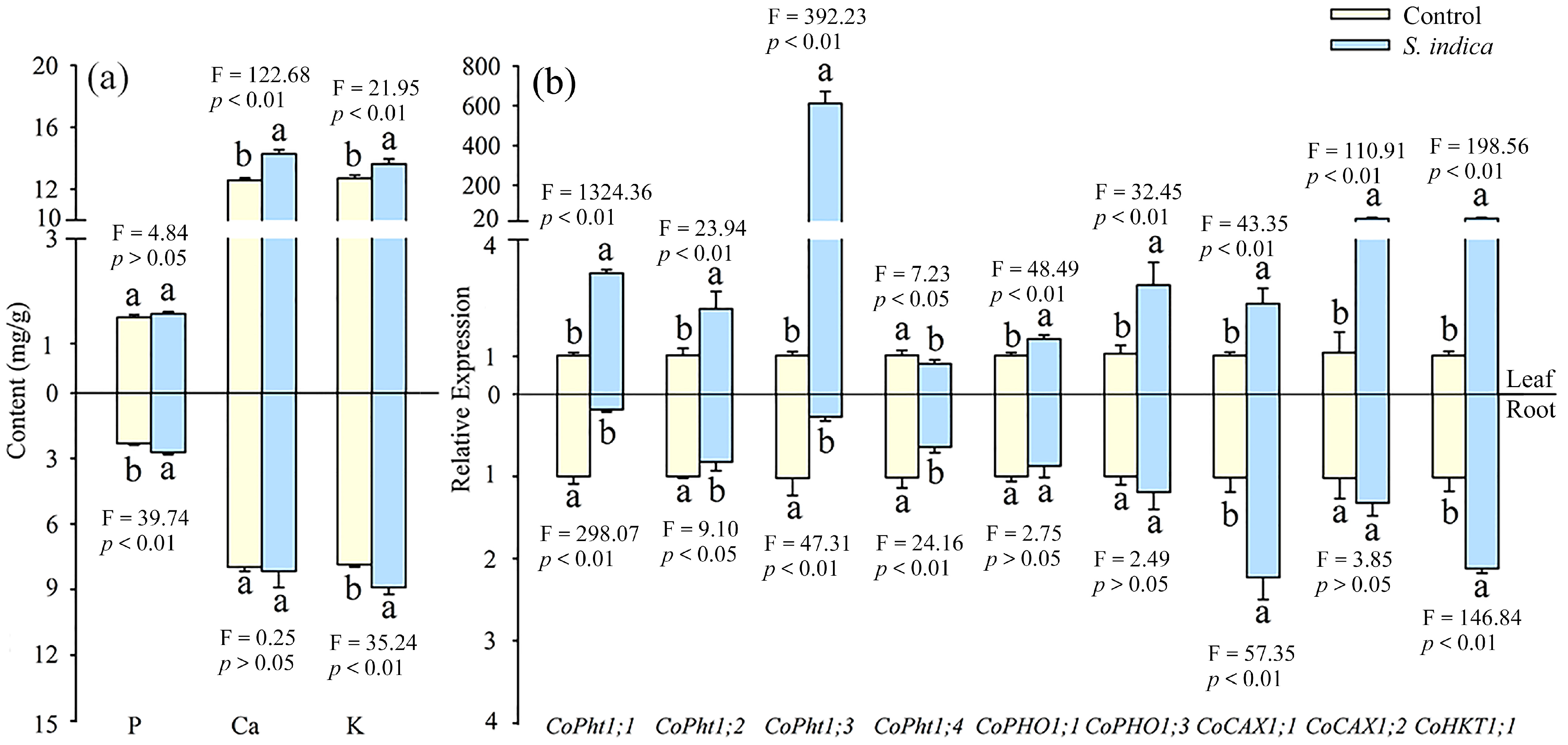 Horticulturae 10 00936 g004