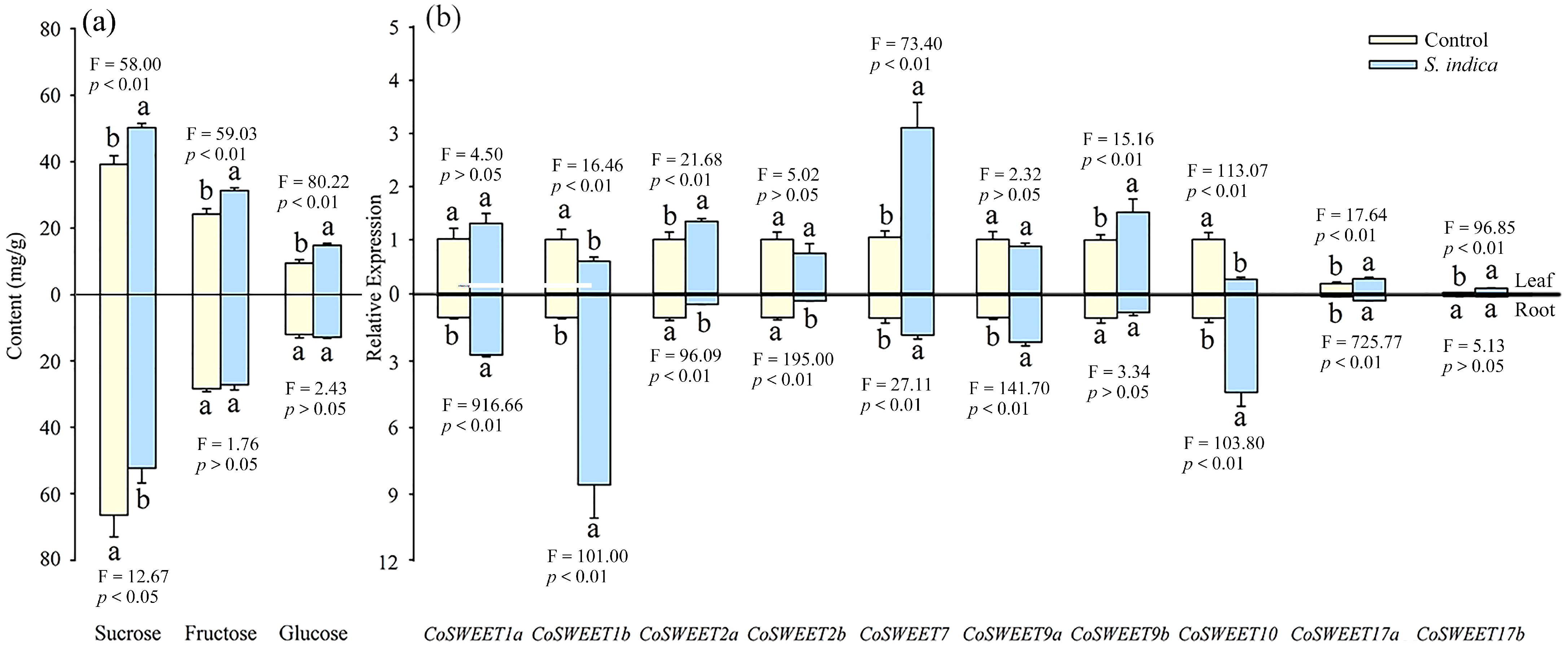 Horticulturae 10 00936 g005