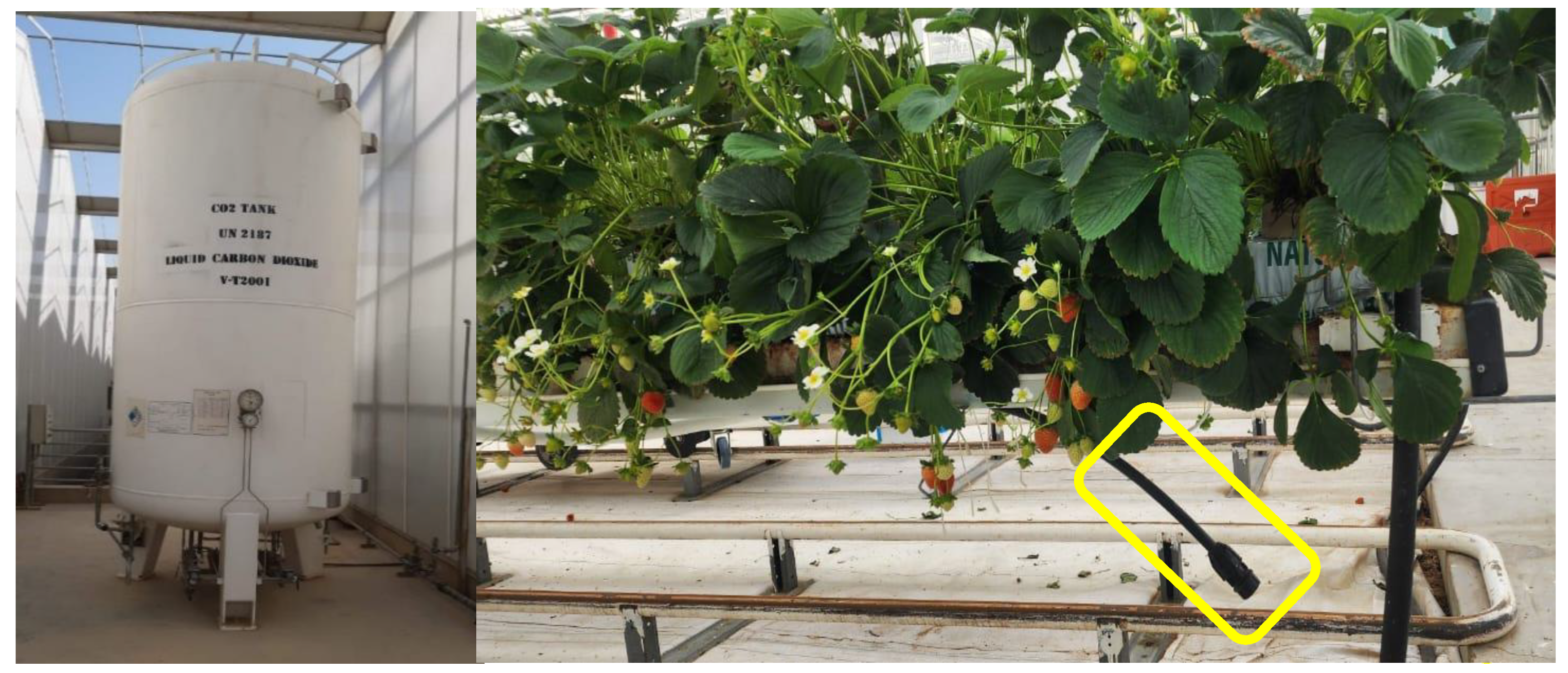 Horticulturae 10 00941 g002