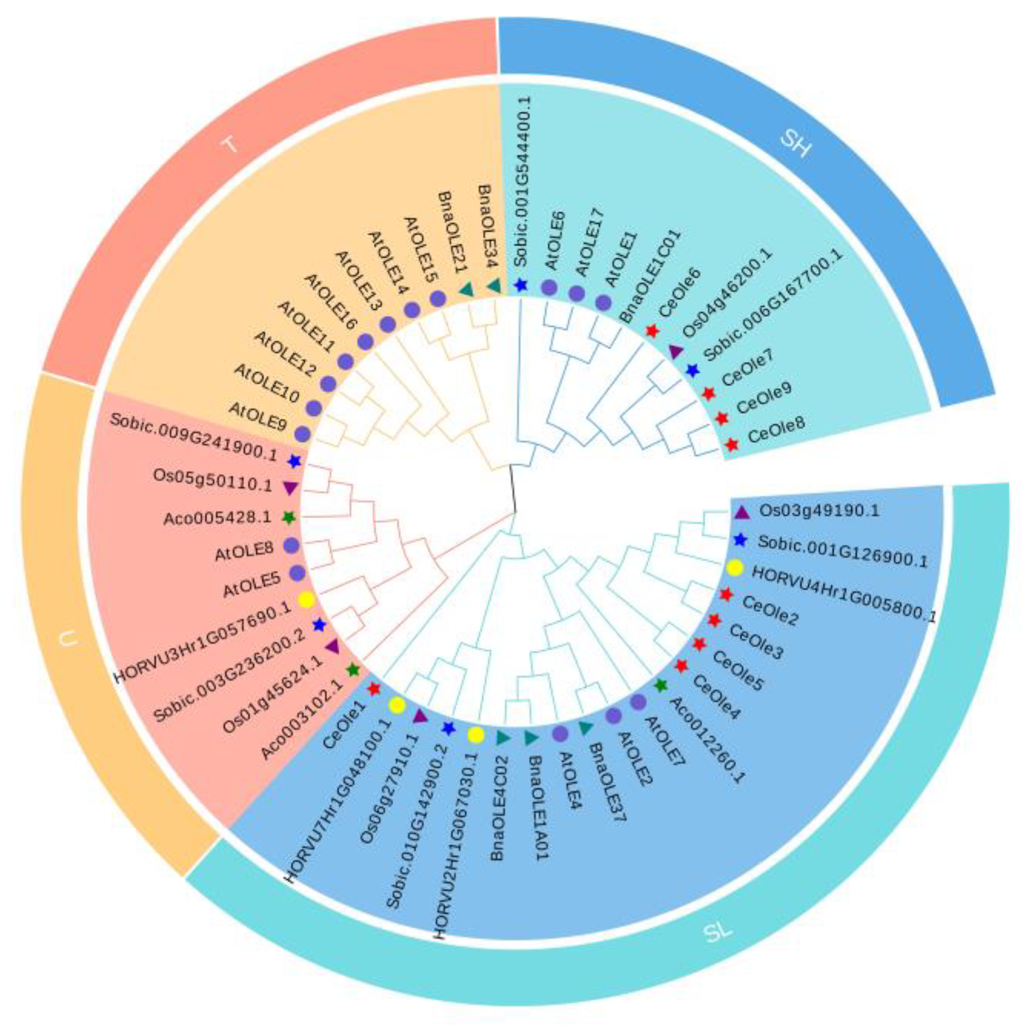 Horticulturae 10 00945 g003