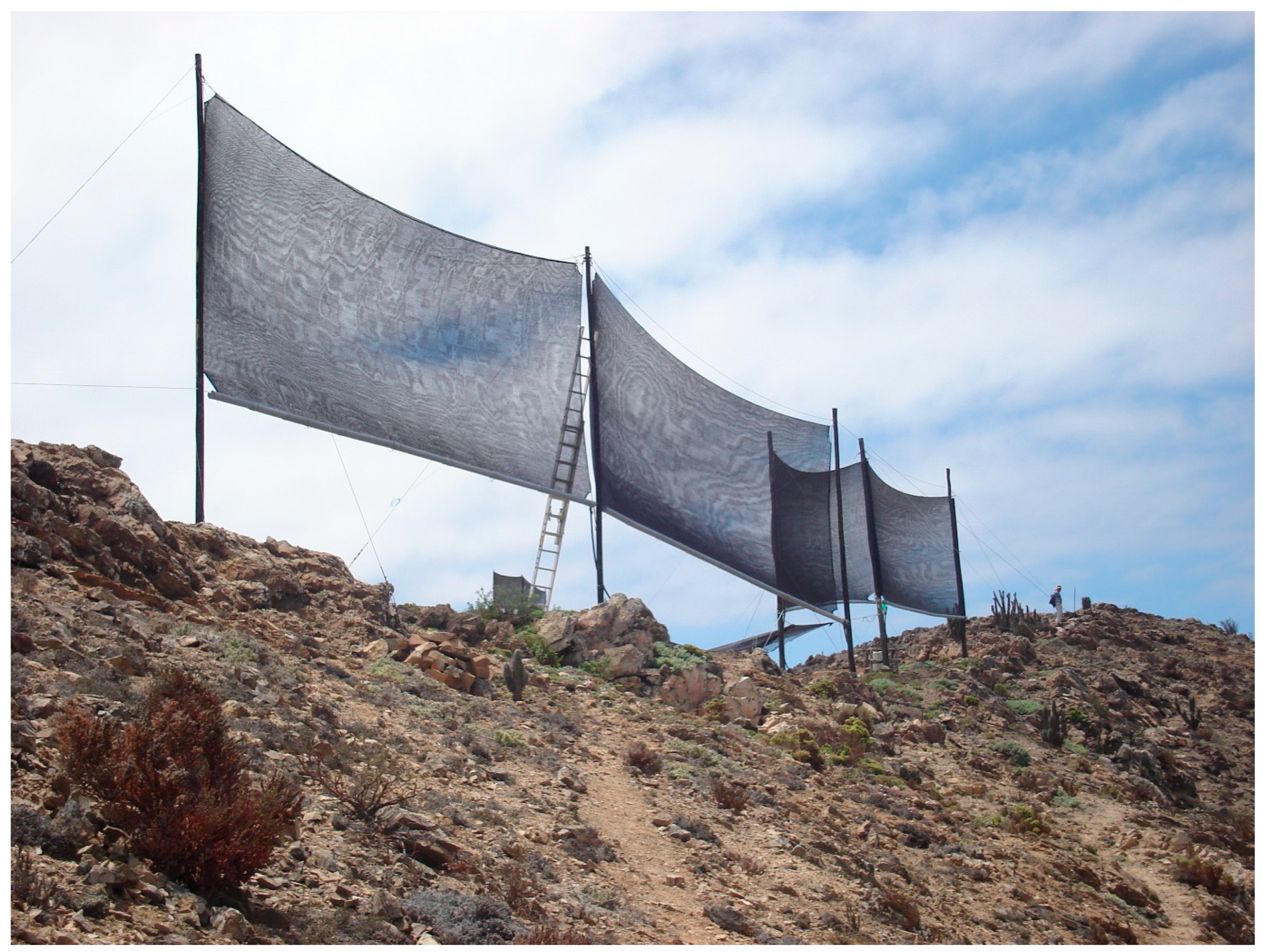 Horticulturae 10 00957 g001