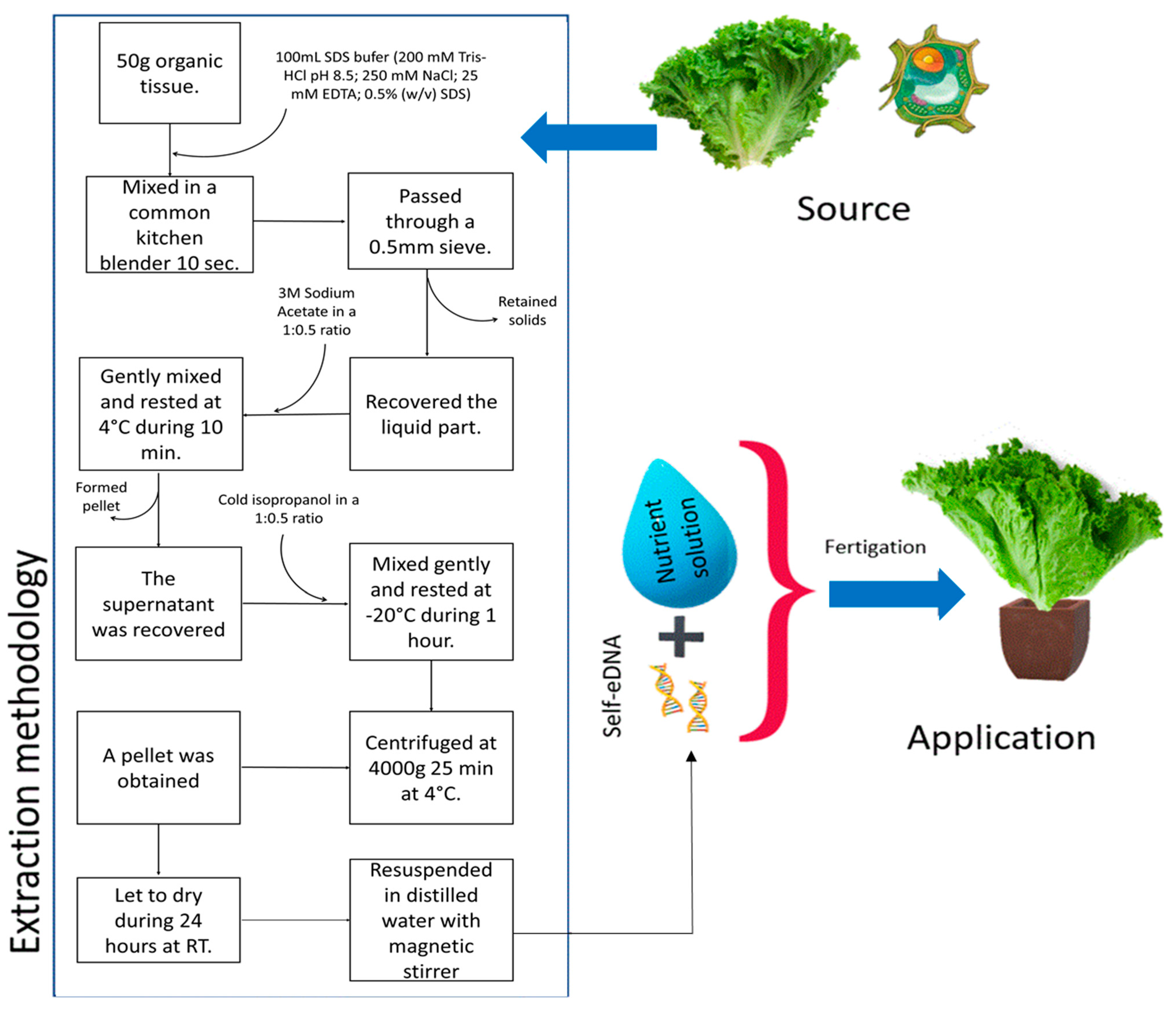 Horticulturae 10 00964 g001