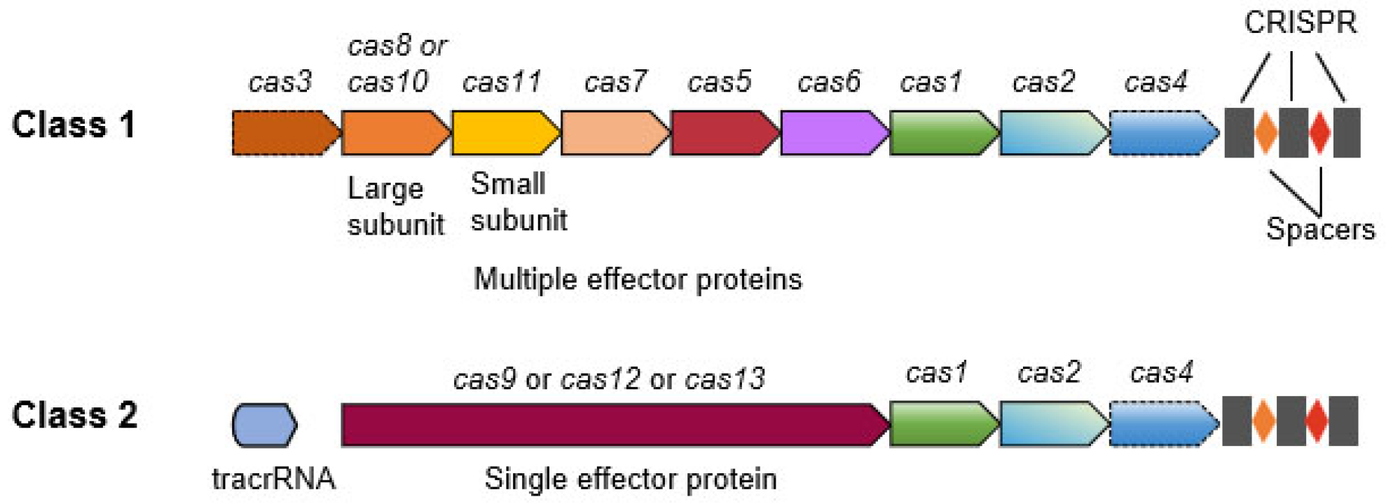Horticulturae 10 00965 g001
