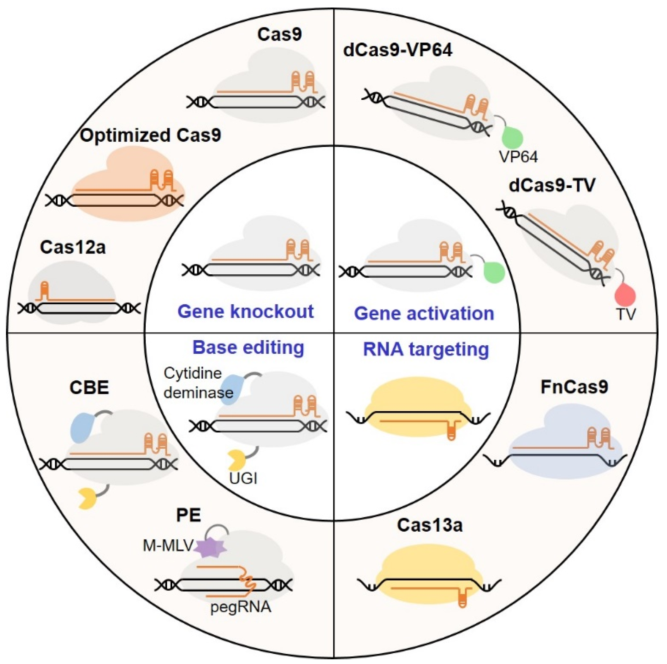 Horticulturae 10 00965 g003