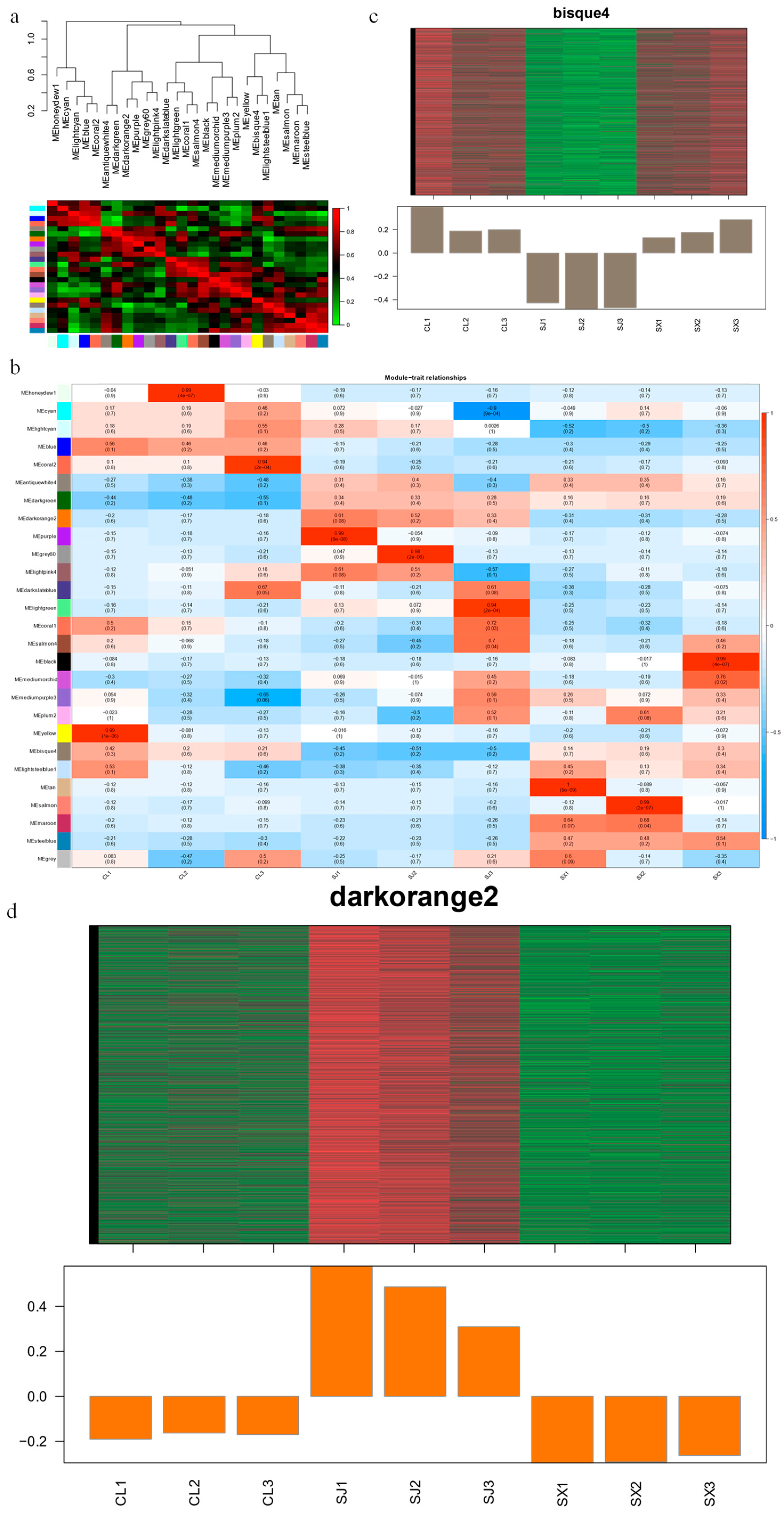 Horticulturae 10 00974 g003