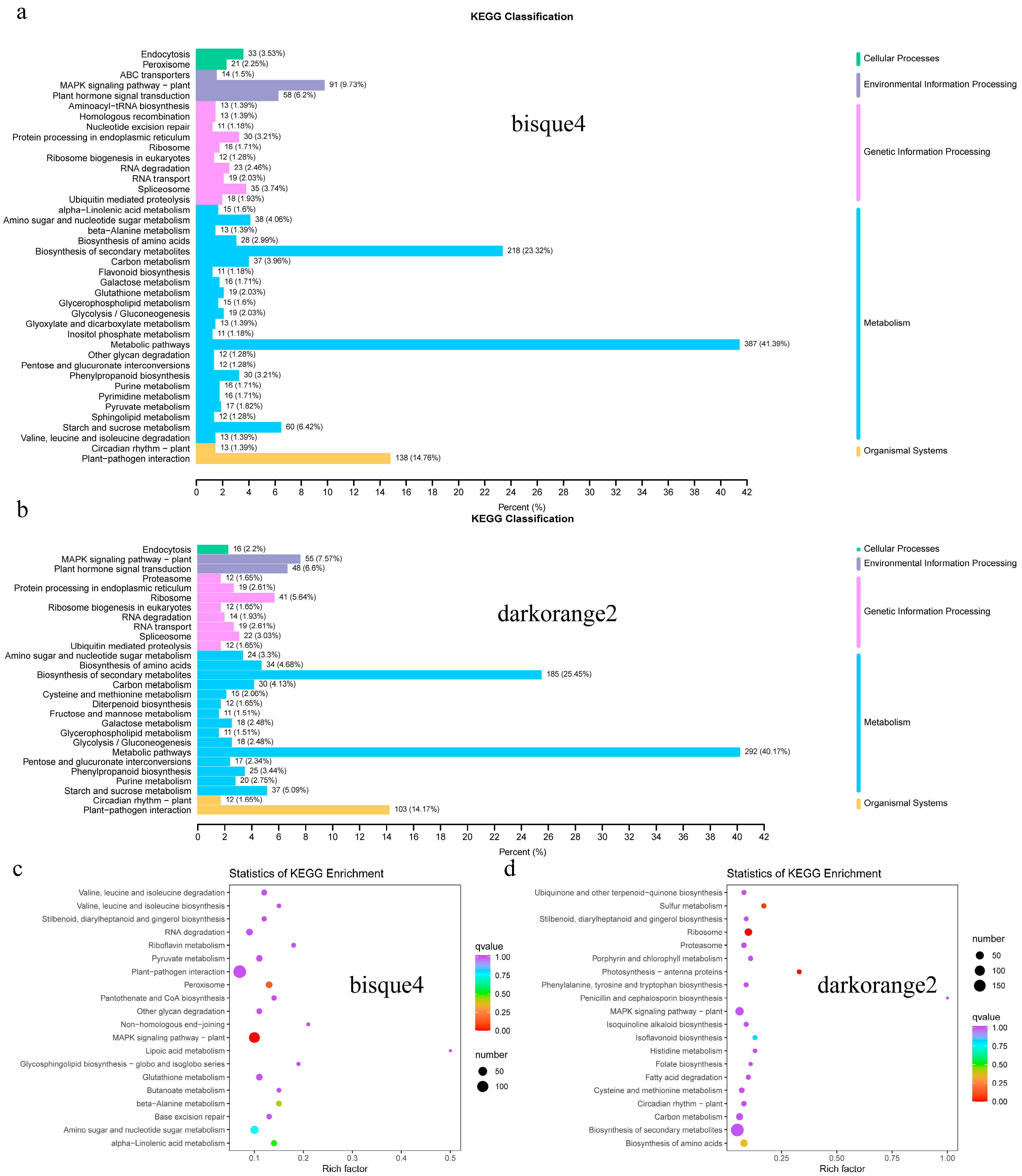 Horticulturae 10 00974 g004