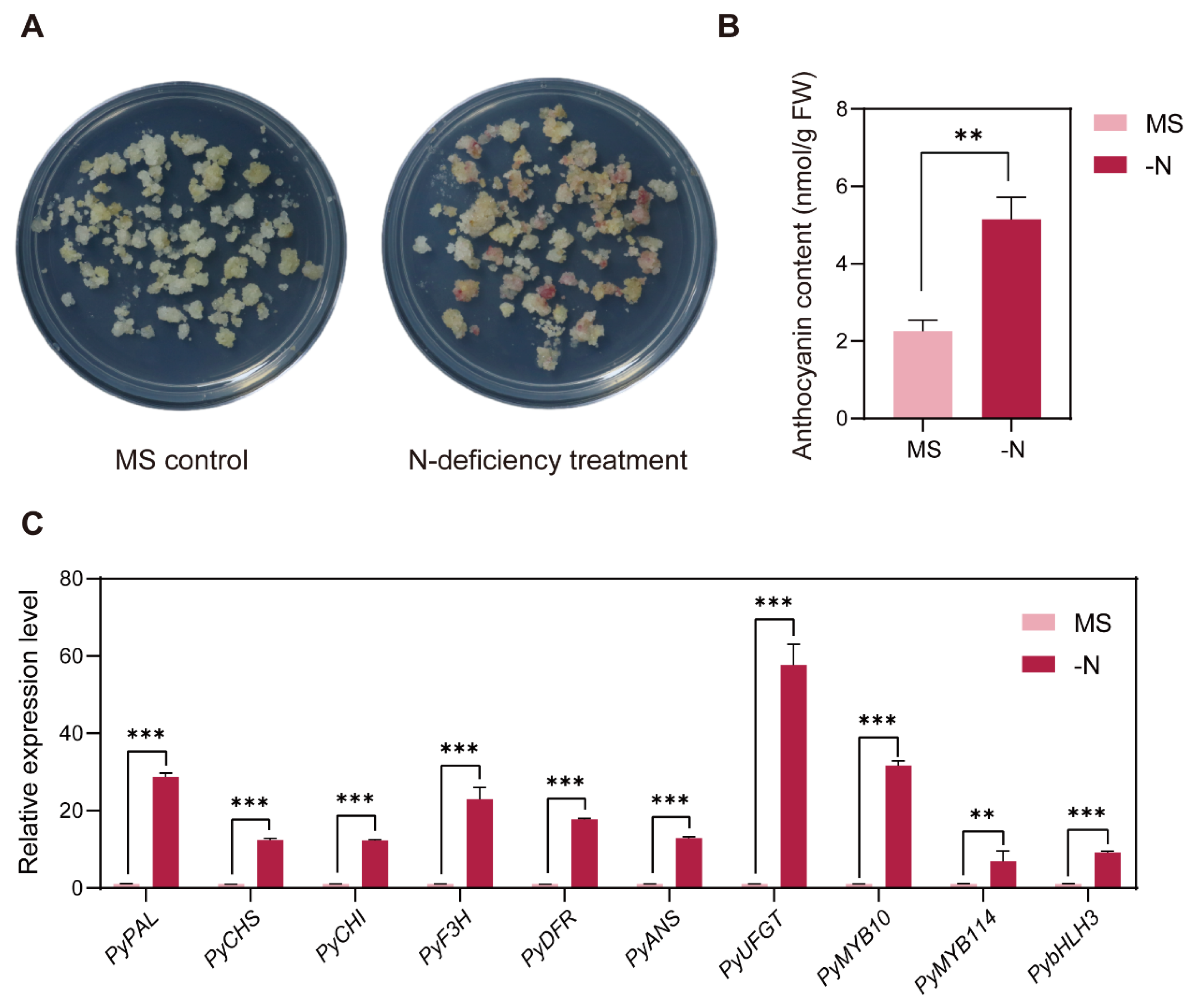Horticulturae 10 00980 g001