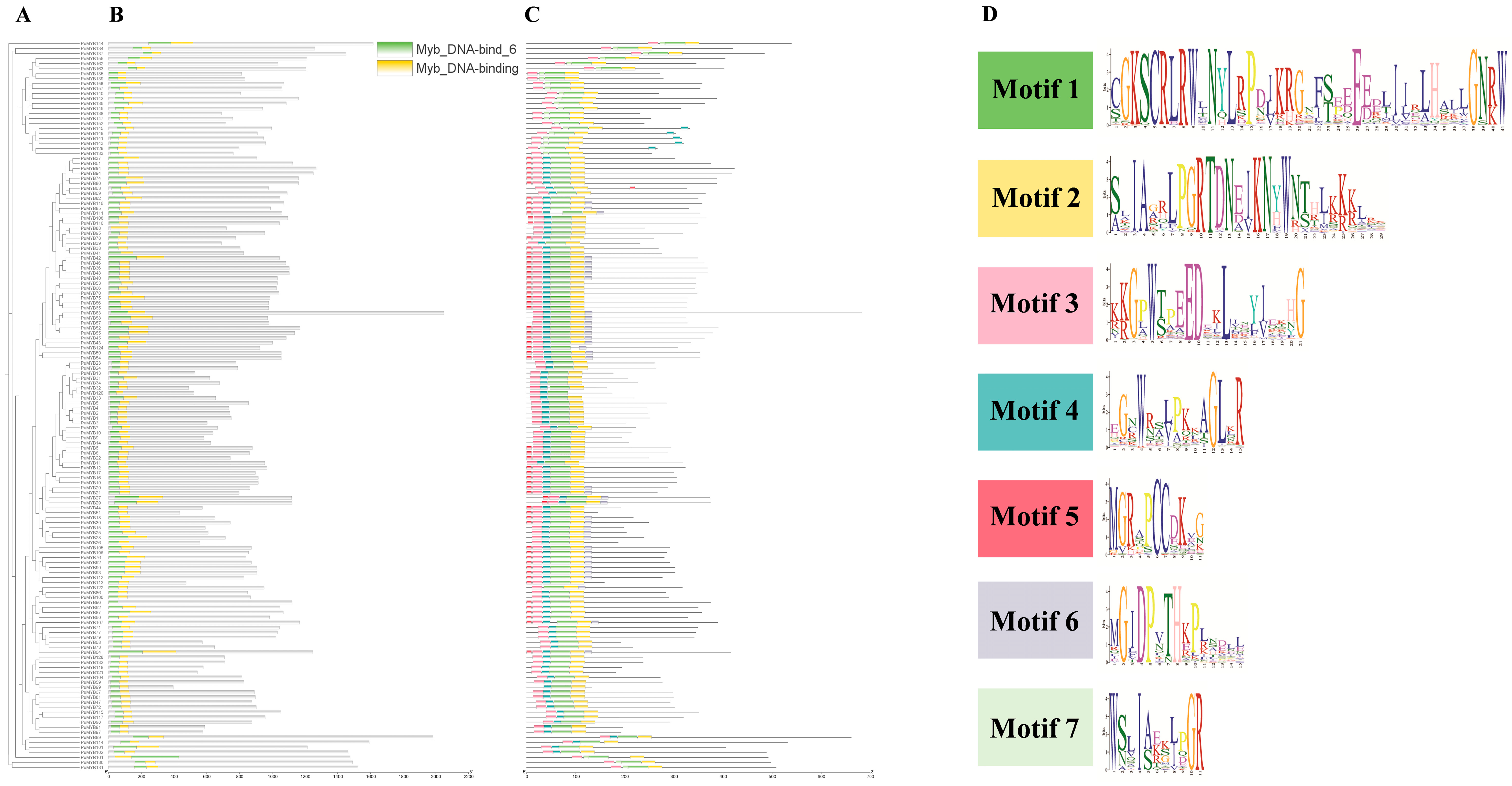 Horticulturae 10 00989 g002