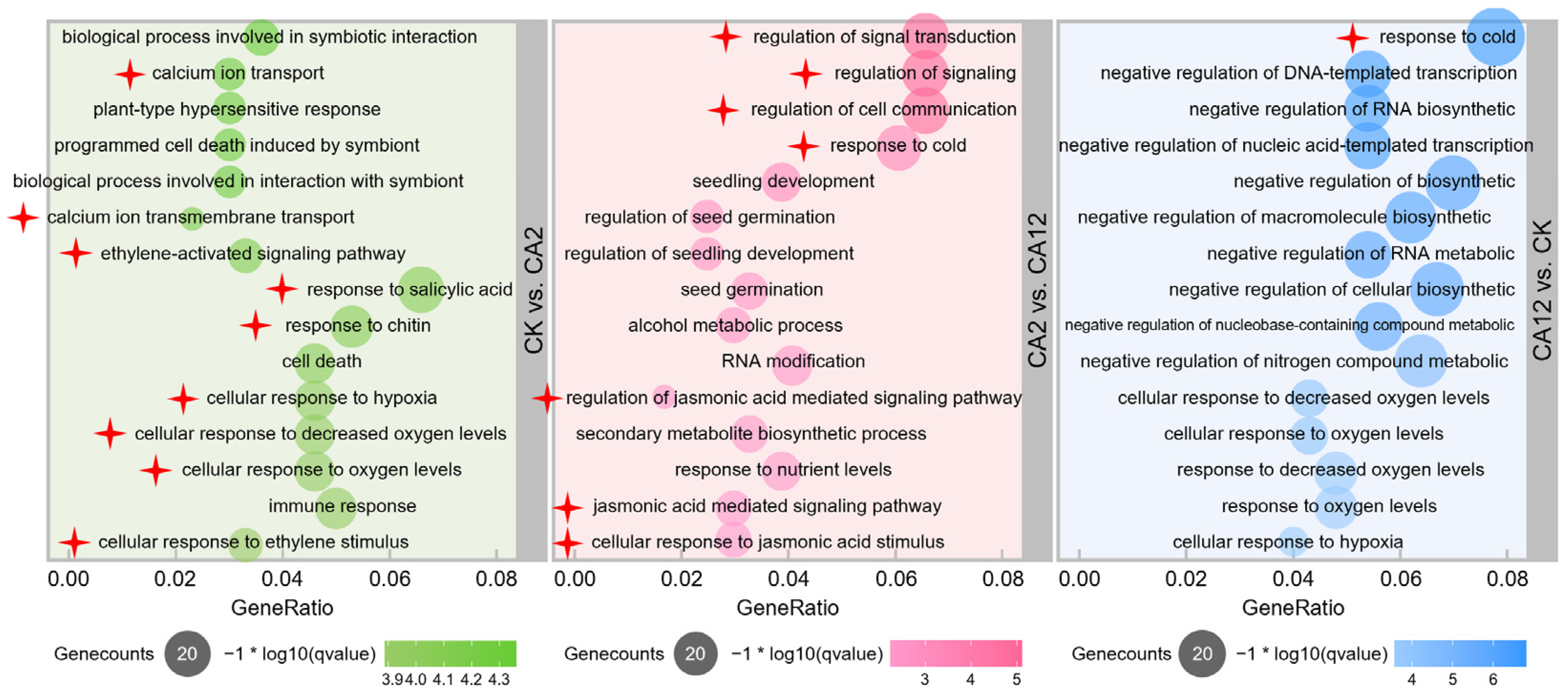 Horticulturae 10 00995 g001
