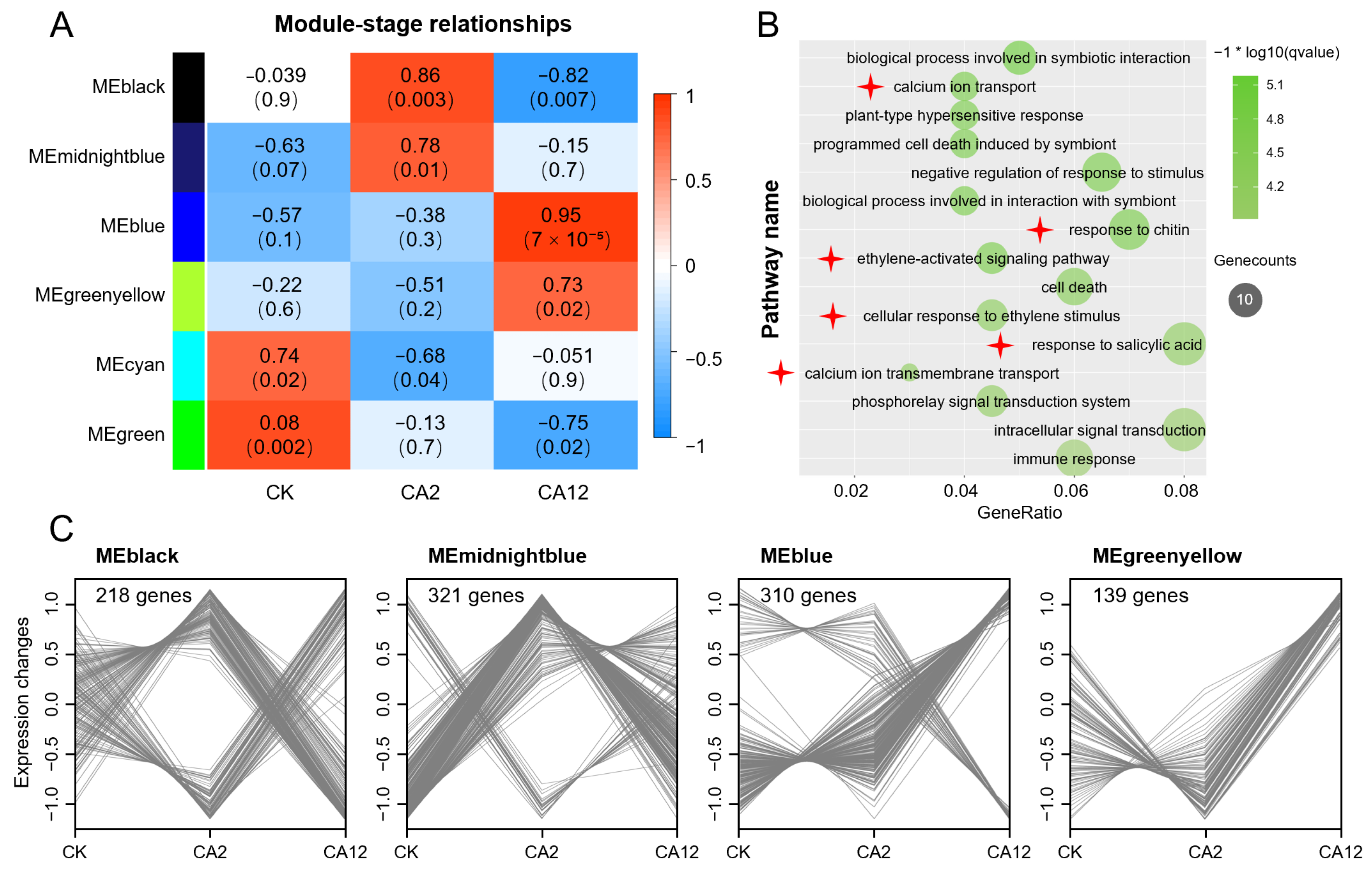 Horticulturae 10 00995 g002
