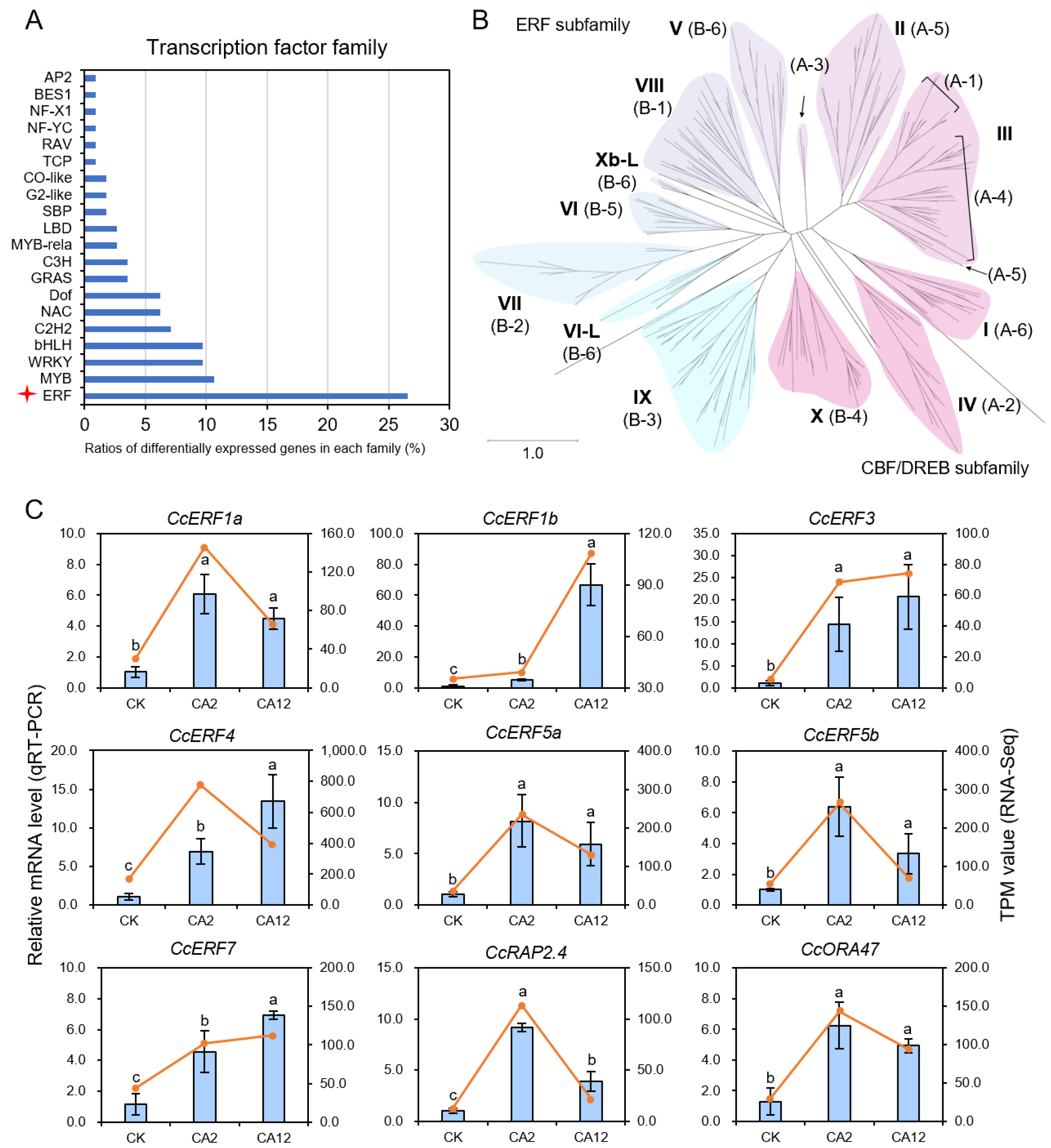 Horticulturae 10 00995 g005