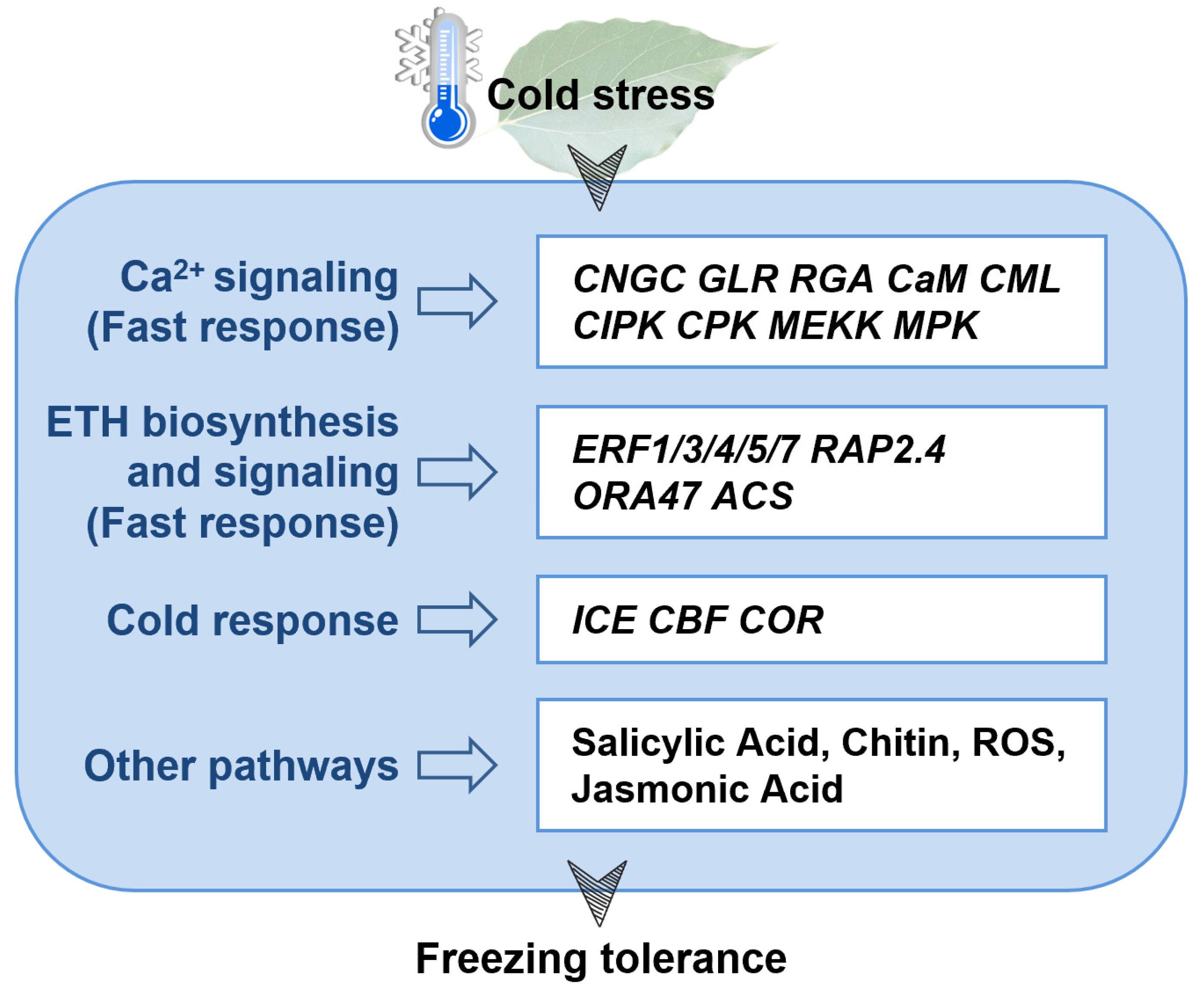 Horticulturae 10 00995 g006