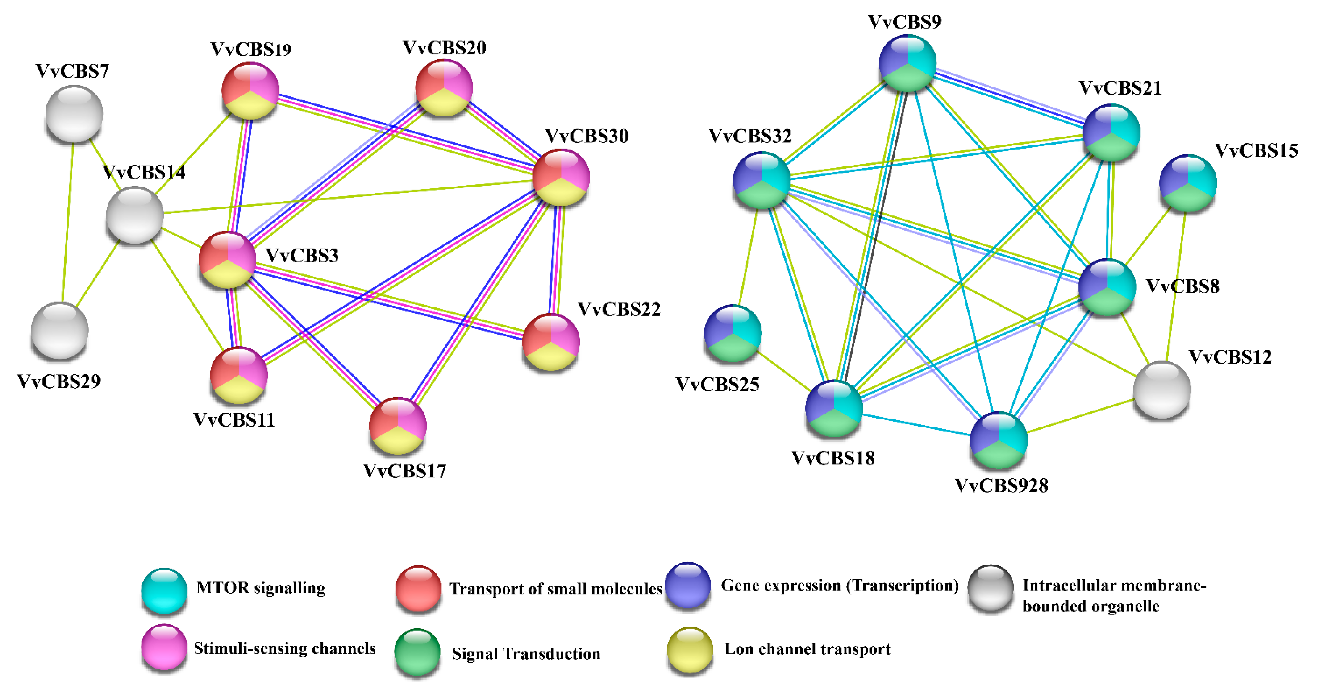 Horticulturae 10 01009 g006