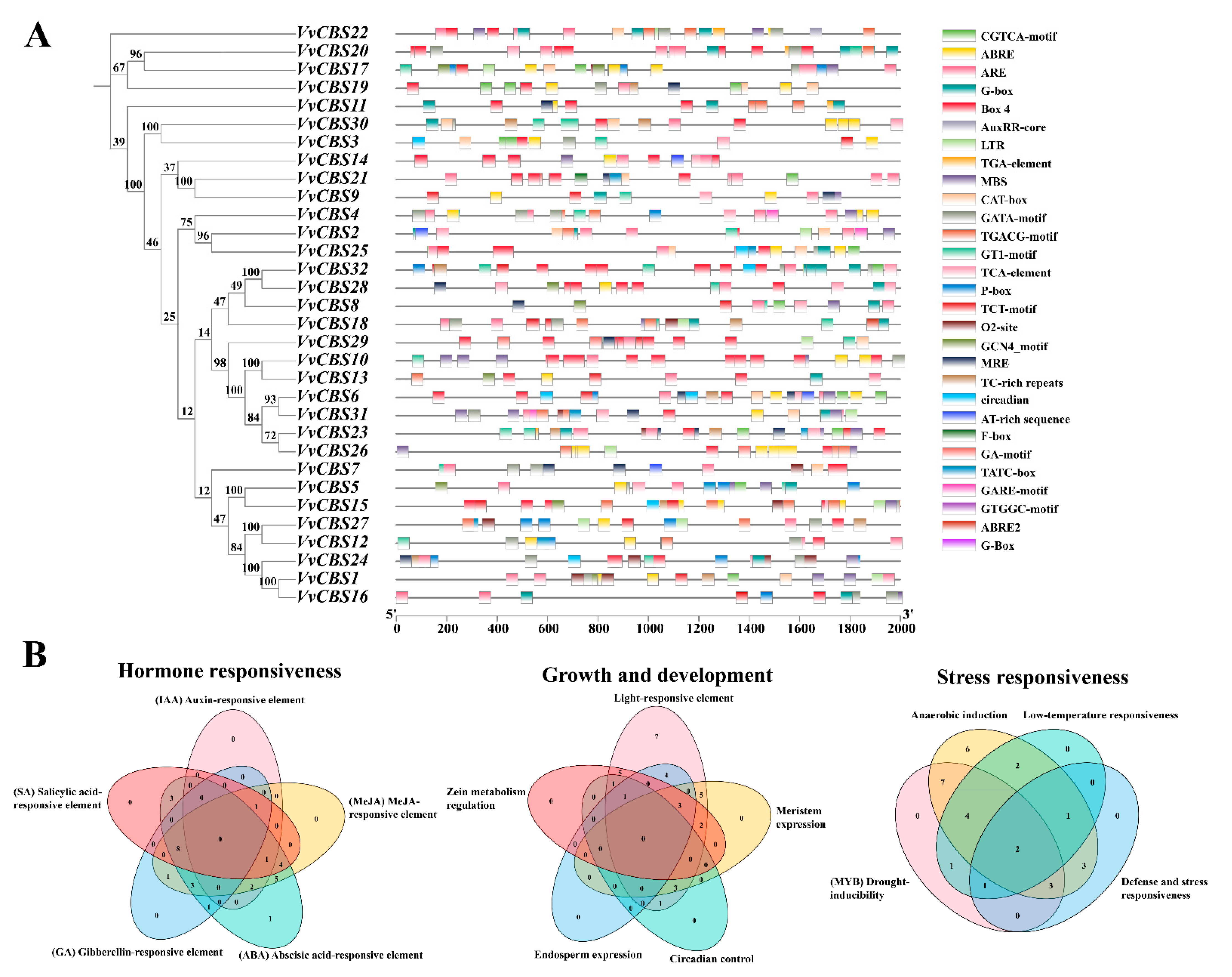 Horticulturae 10 01009 g007