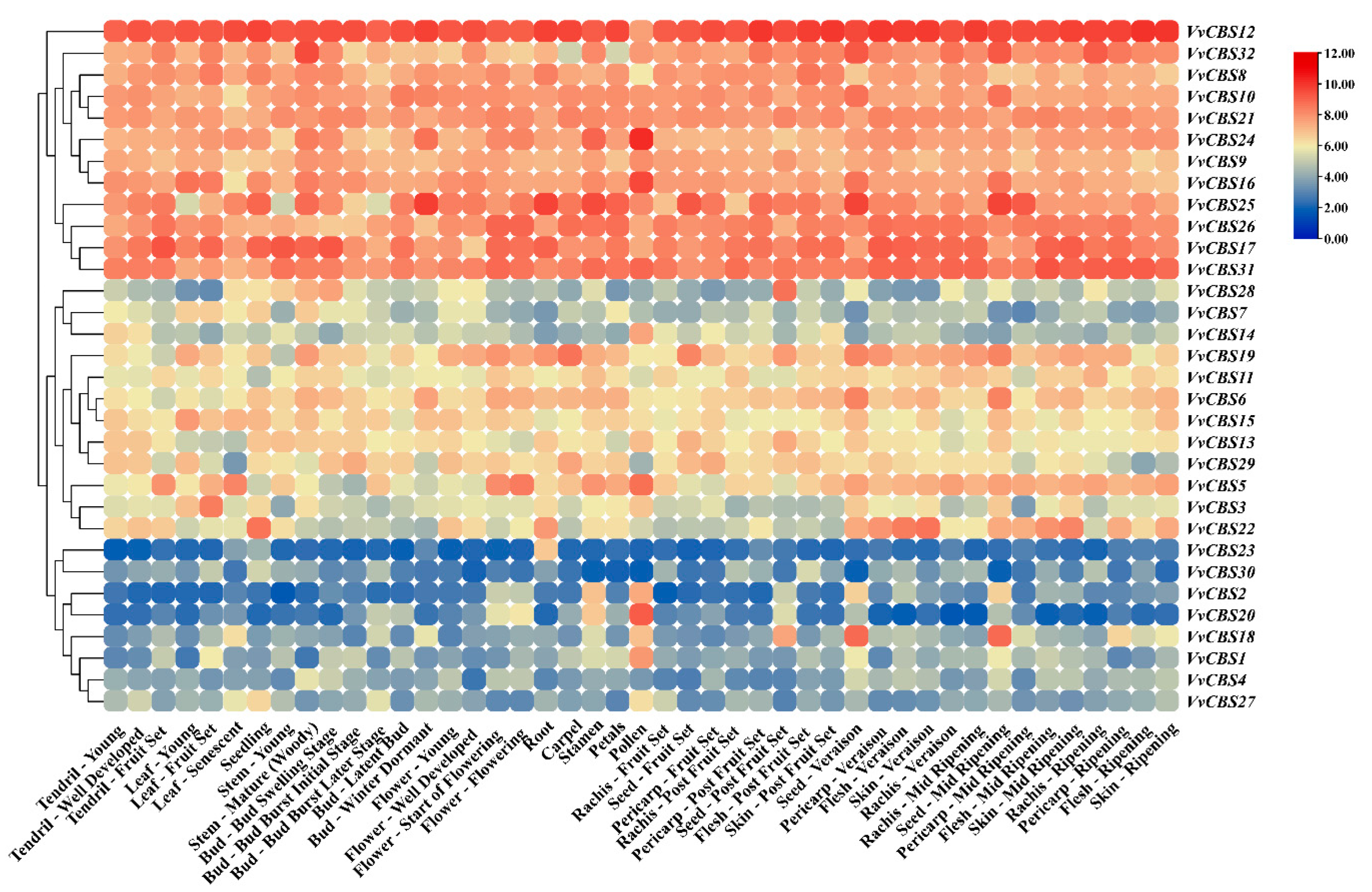 Horticulturae 10 01009 g008