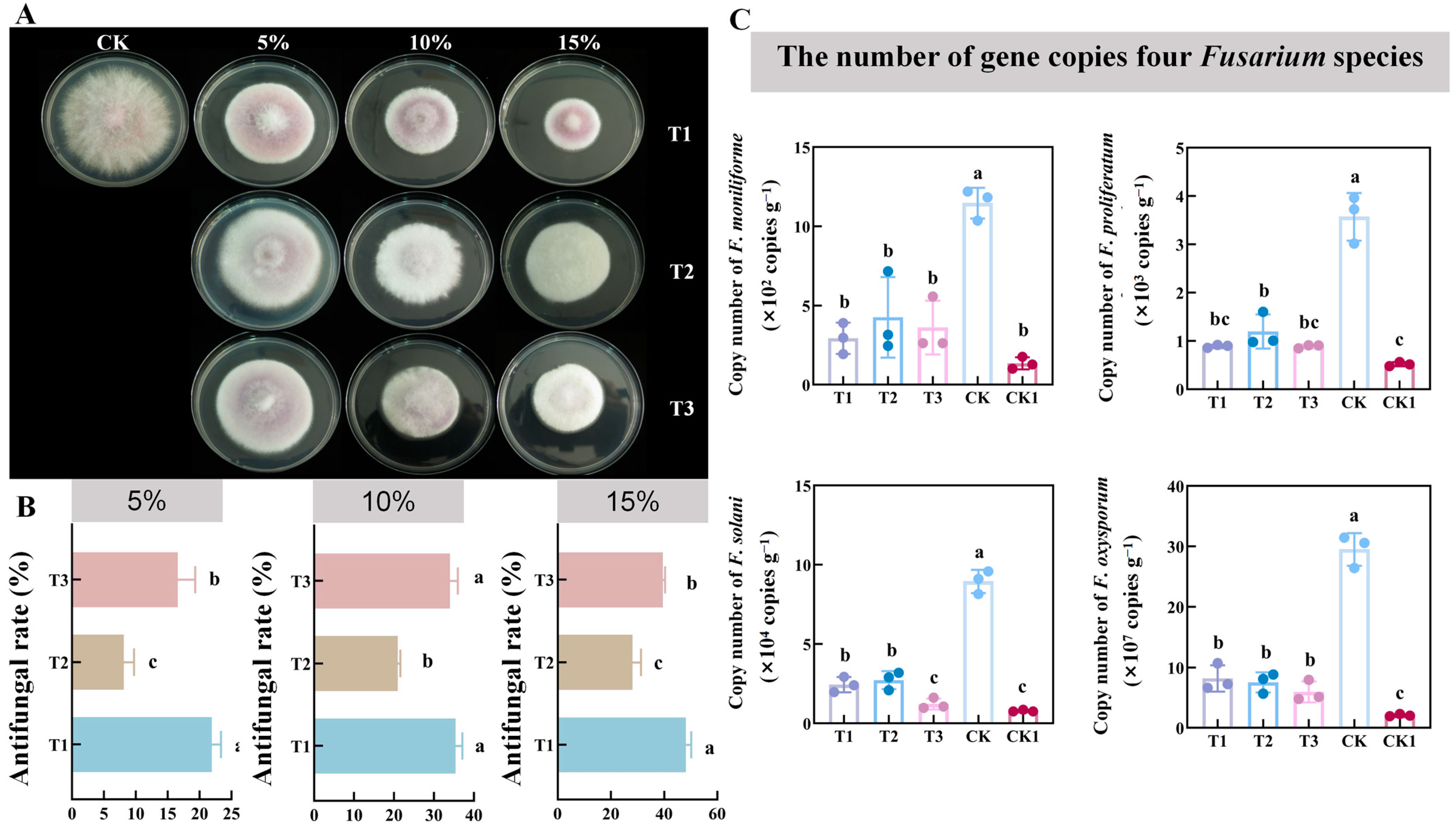 Horticulturae 10 01035 g002 Horticulturae 10 01035 g002