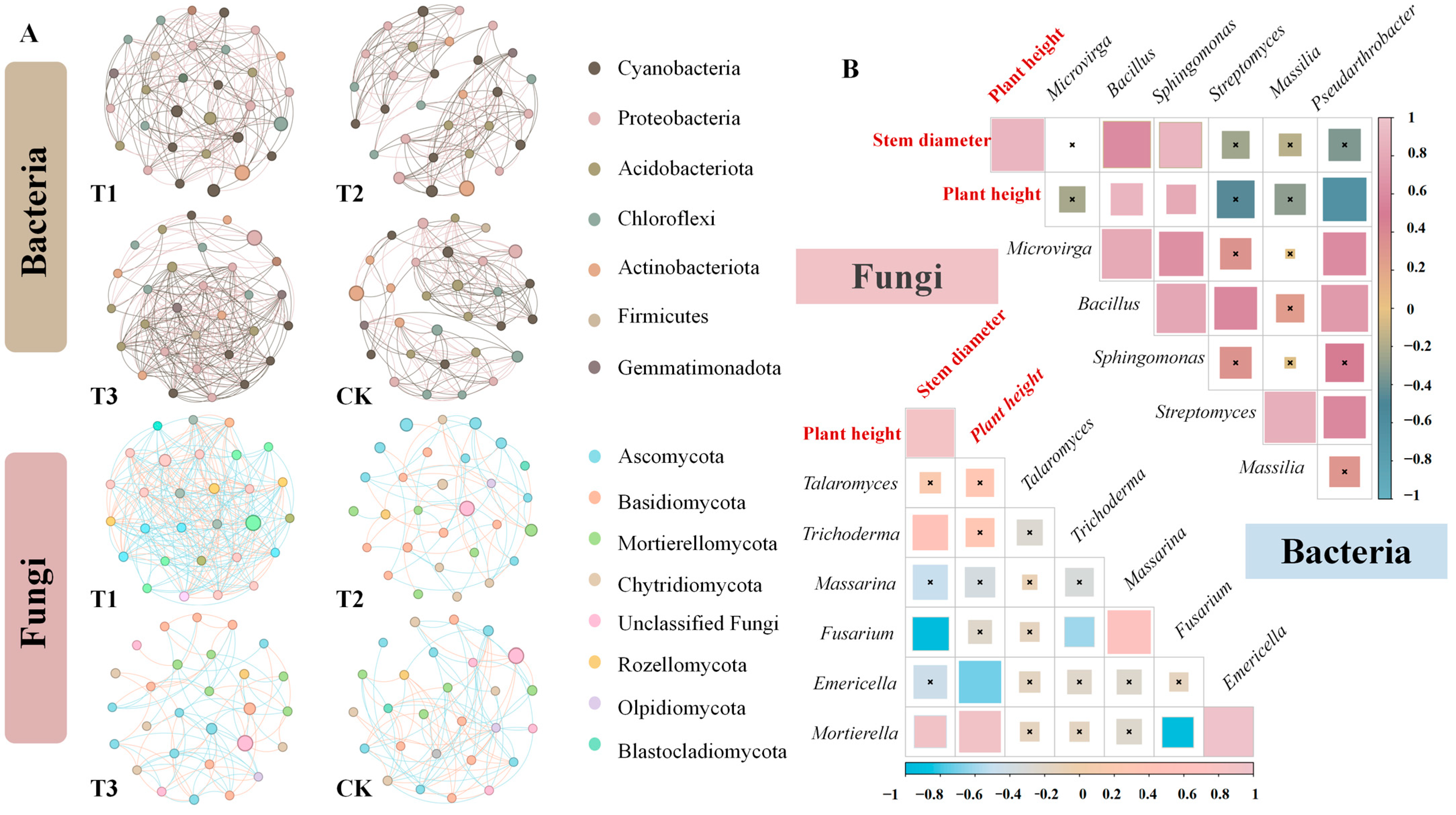 Horticulturae 10 01035 g005 Horticulturae 10 01035 g005