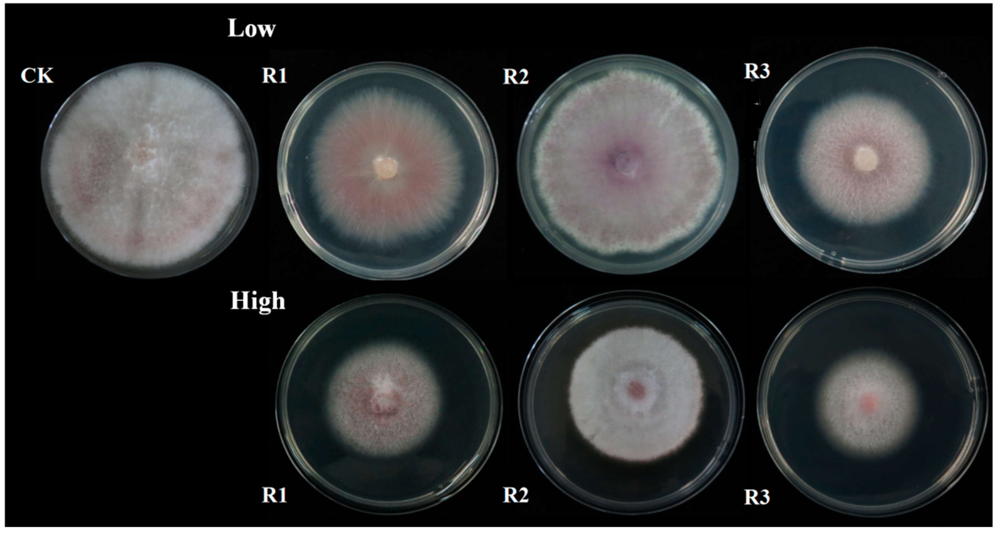 Horticulturae 10 01035 g008 Horticulturae 10 01035 g008