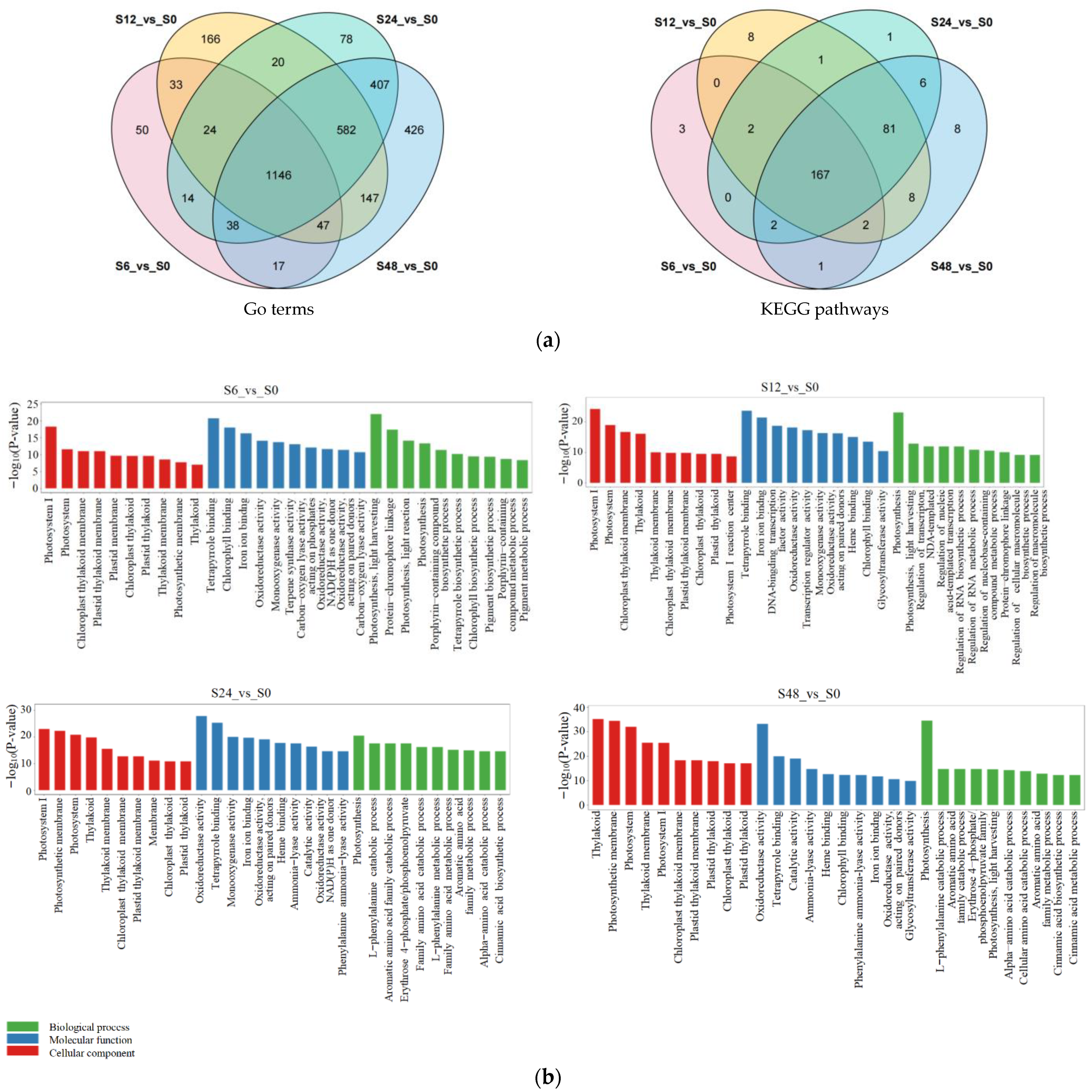 Horticulturae 10 01084 g005a
