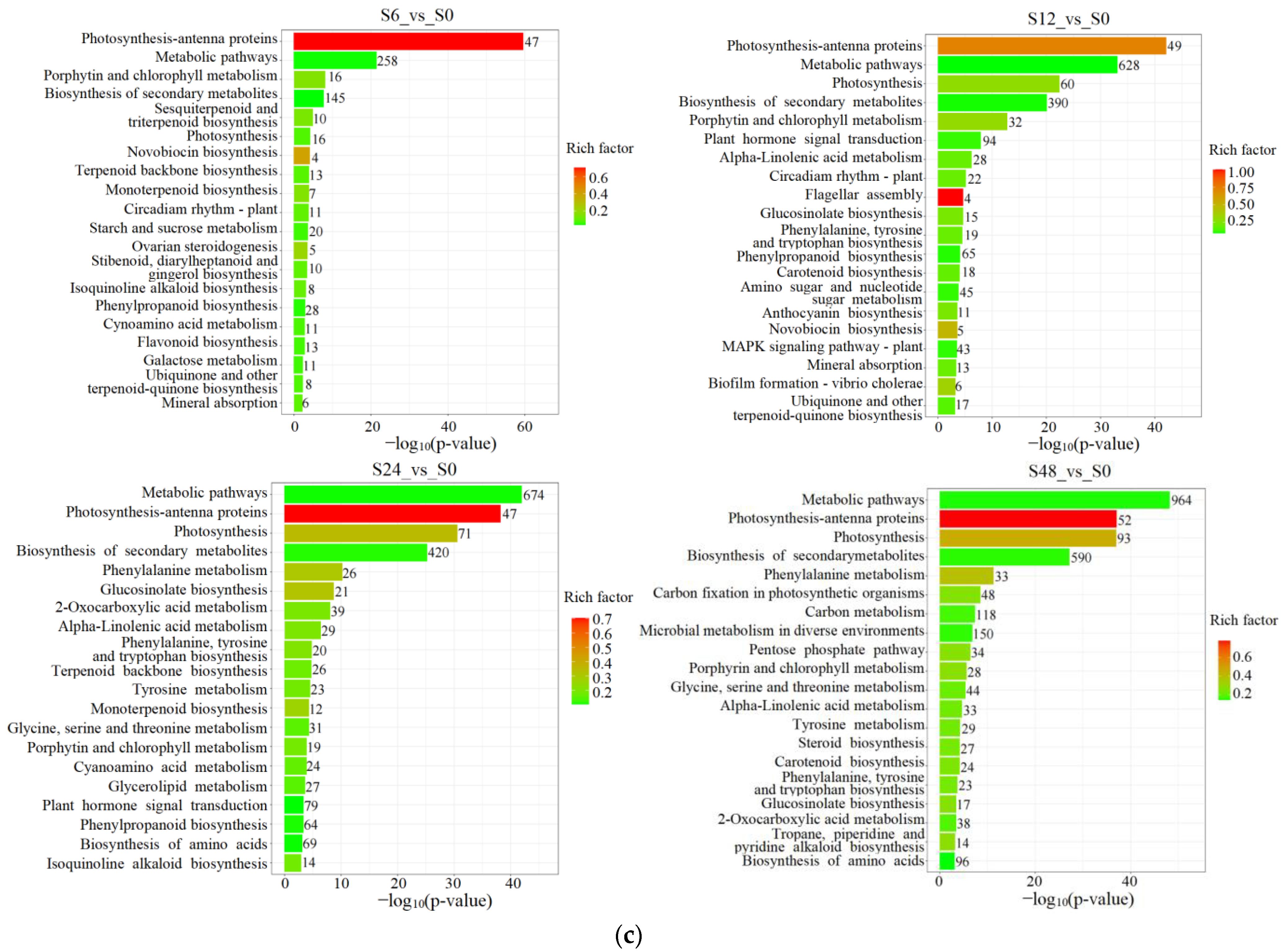 Horticulturae 10 01084 g005b