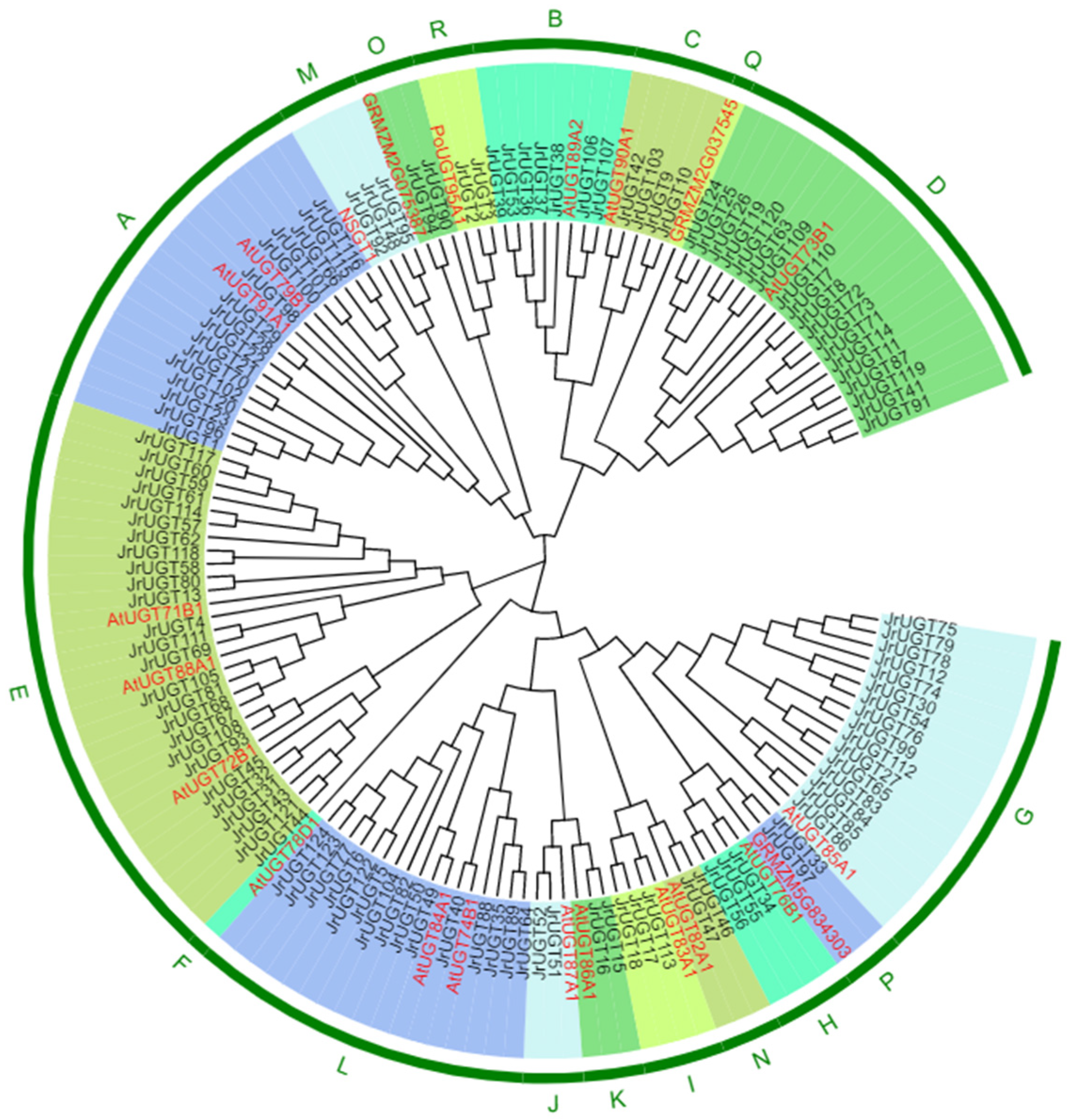 Horticulturae 10 01130 g001