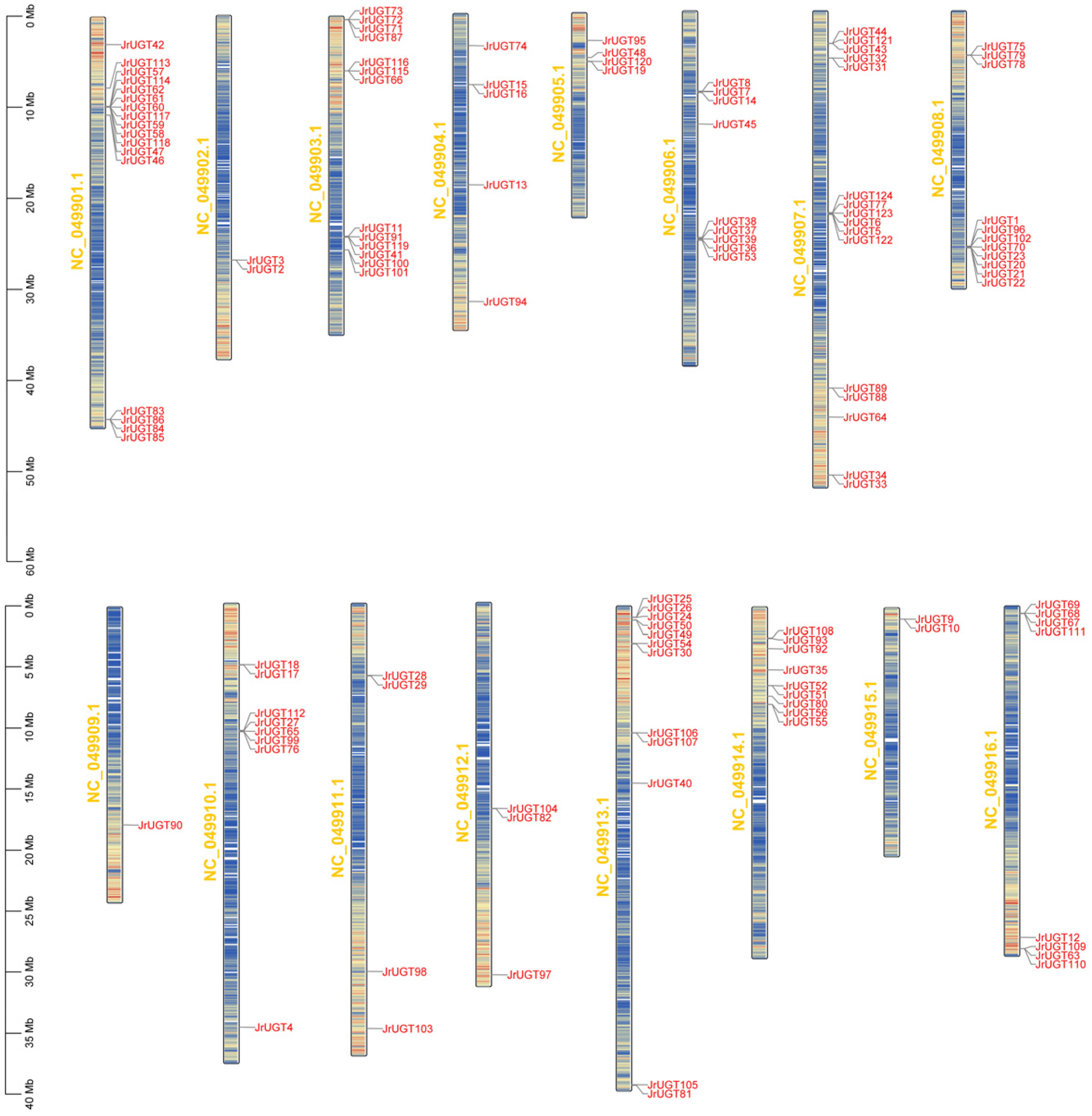 Horticulturae 10 01130 g002