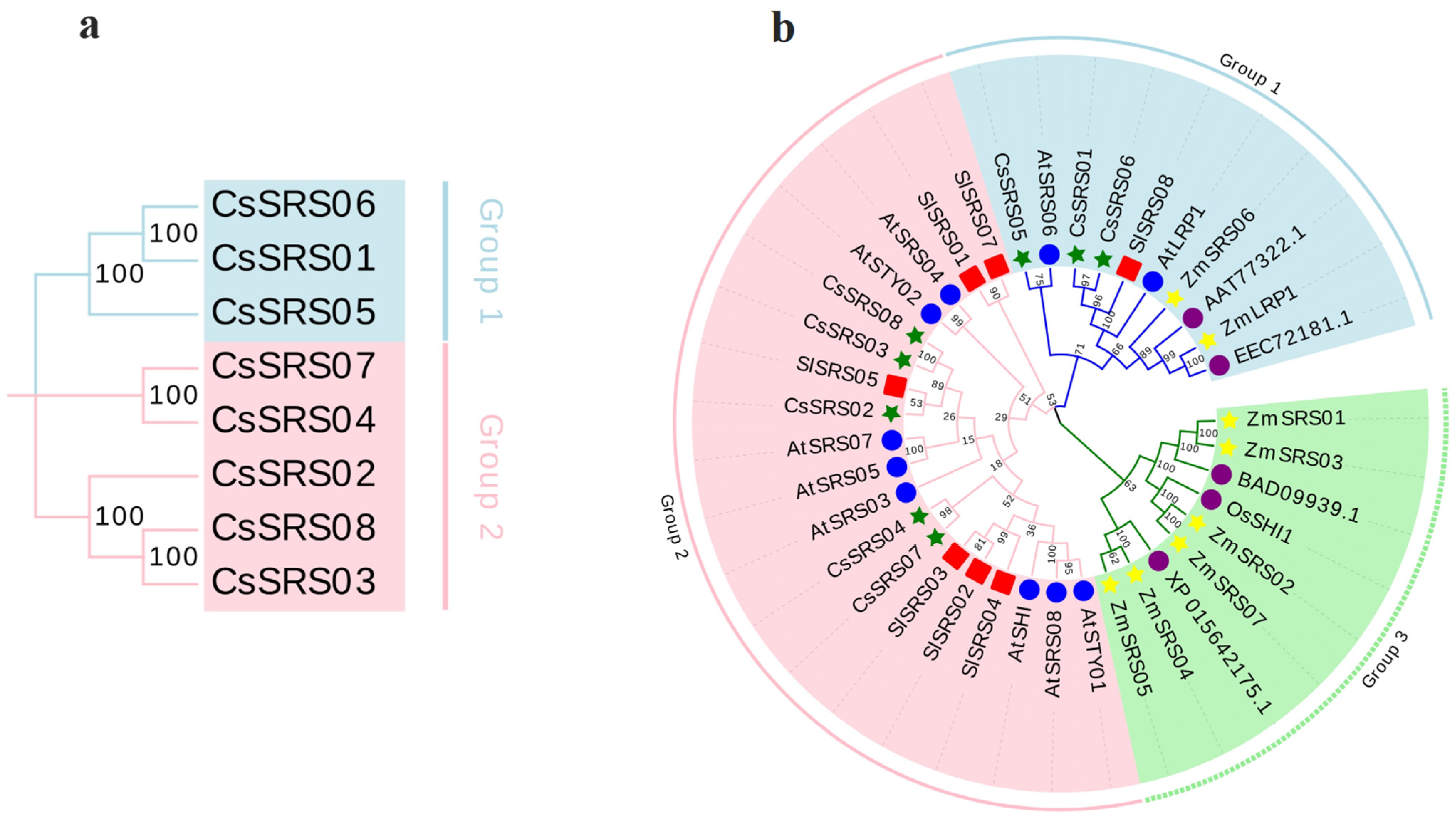 Horticulturae 10 01154 g003