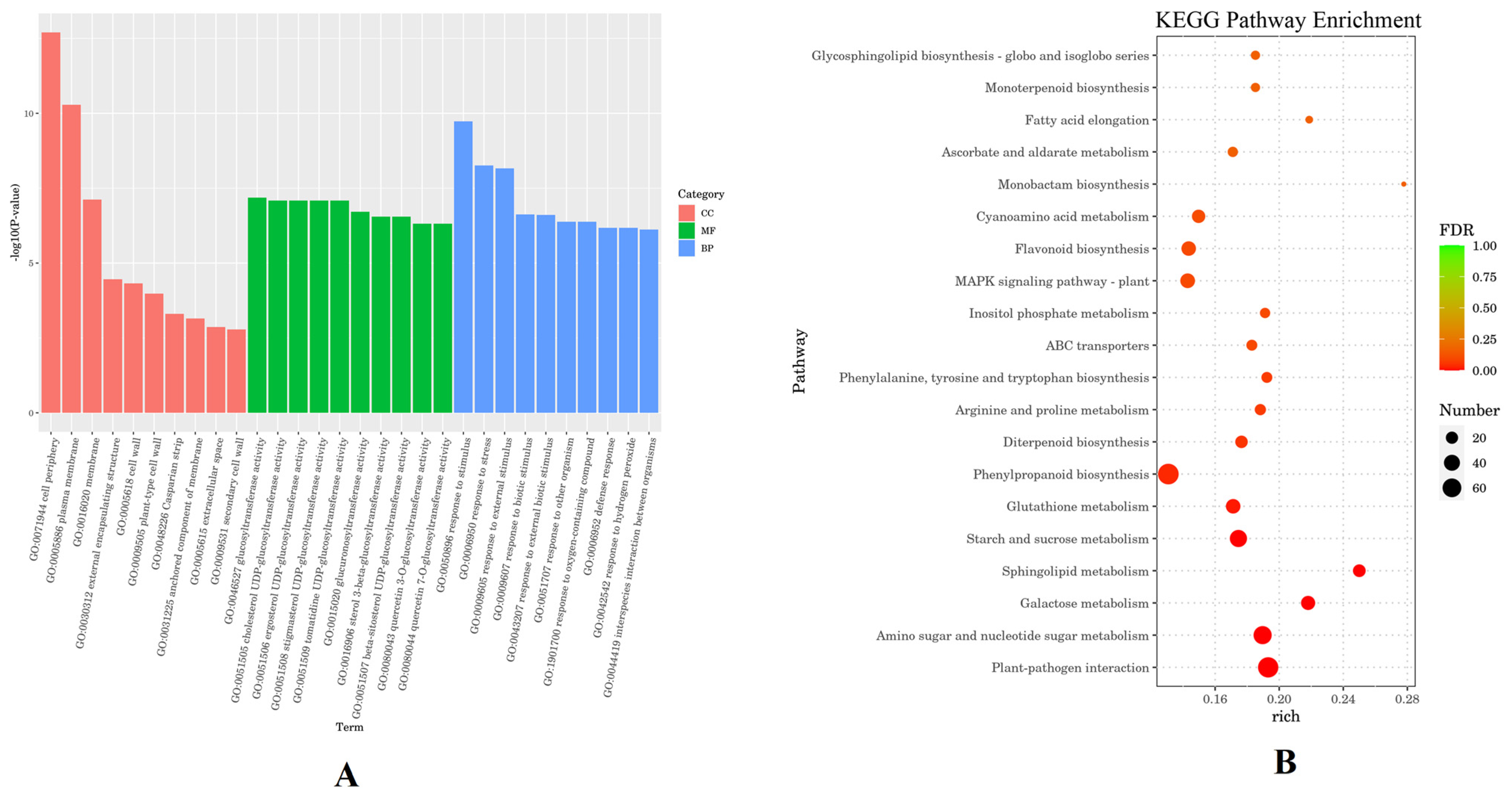 Horticulturae 10 01211 g005
