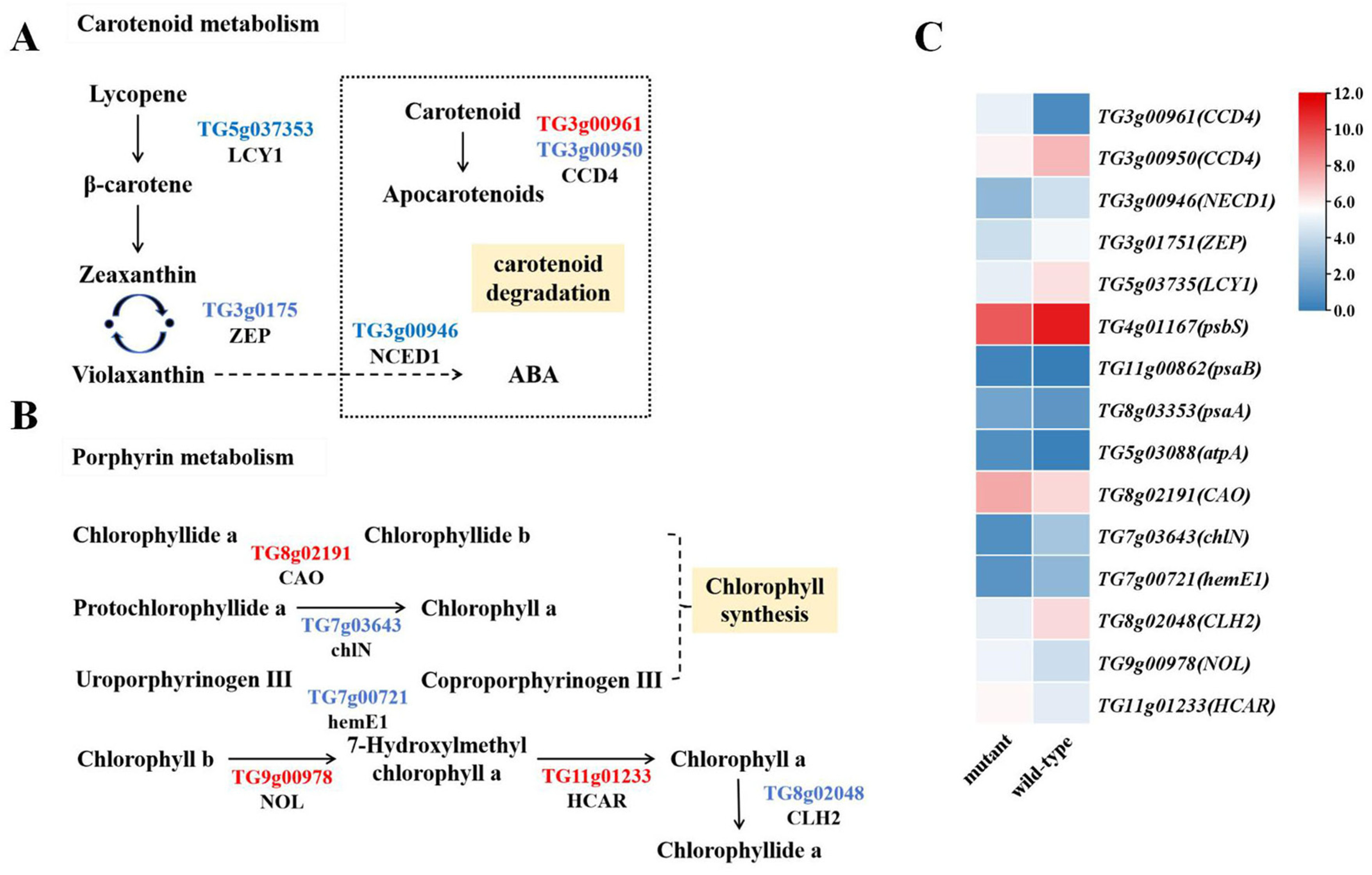 Horticulturae 10 01211 g006